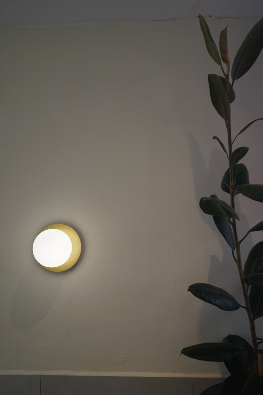 AMPLE coffee & bakery ambiance image 2