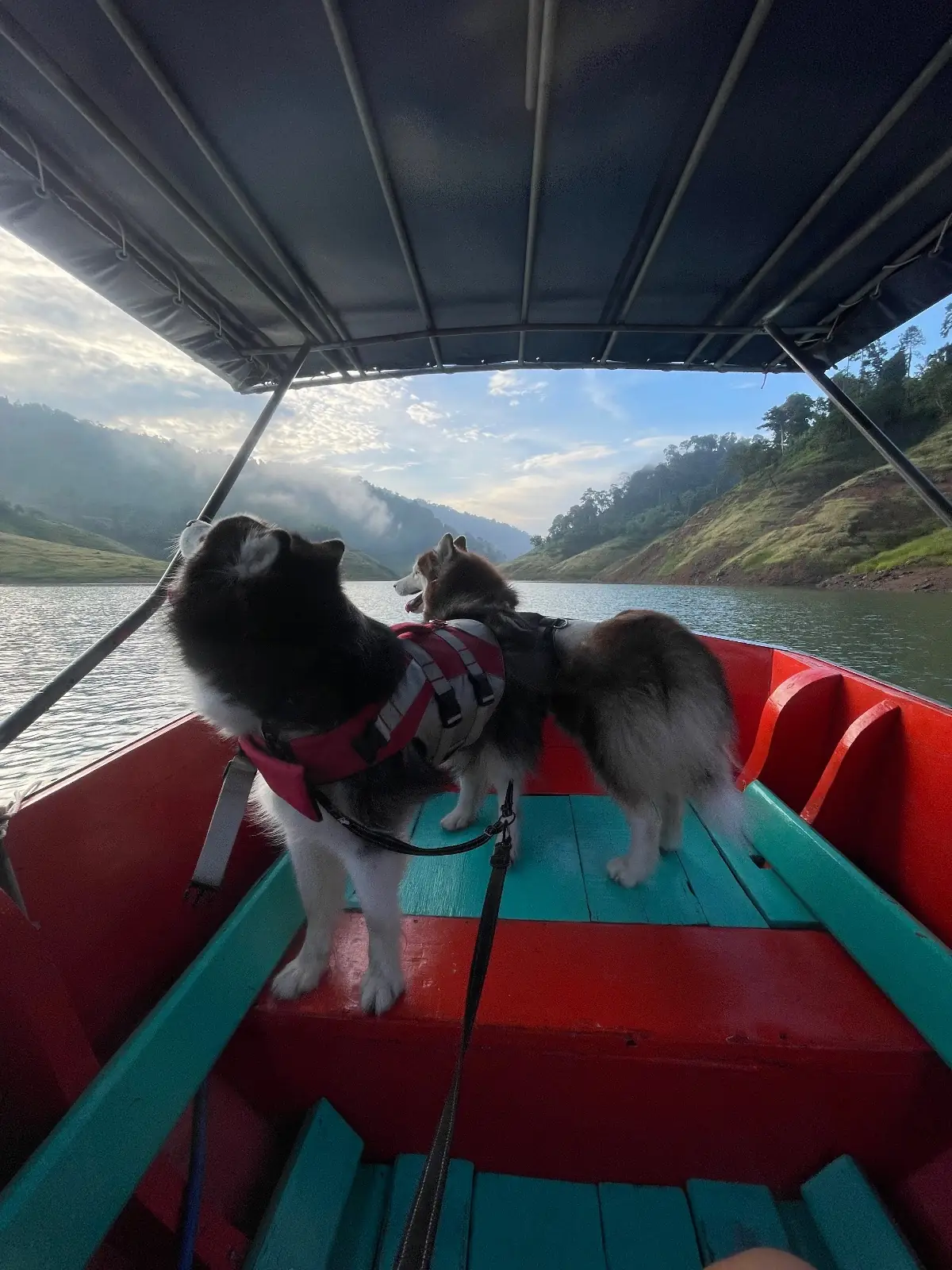 น้ำตกเขาช่องลม pets image 8