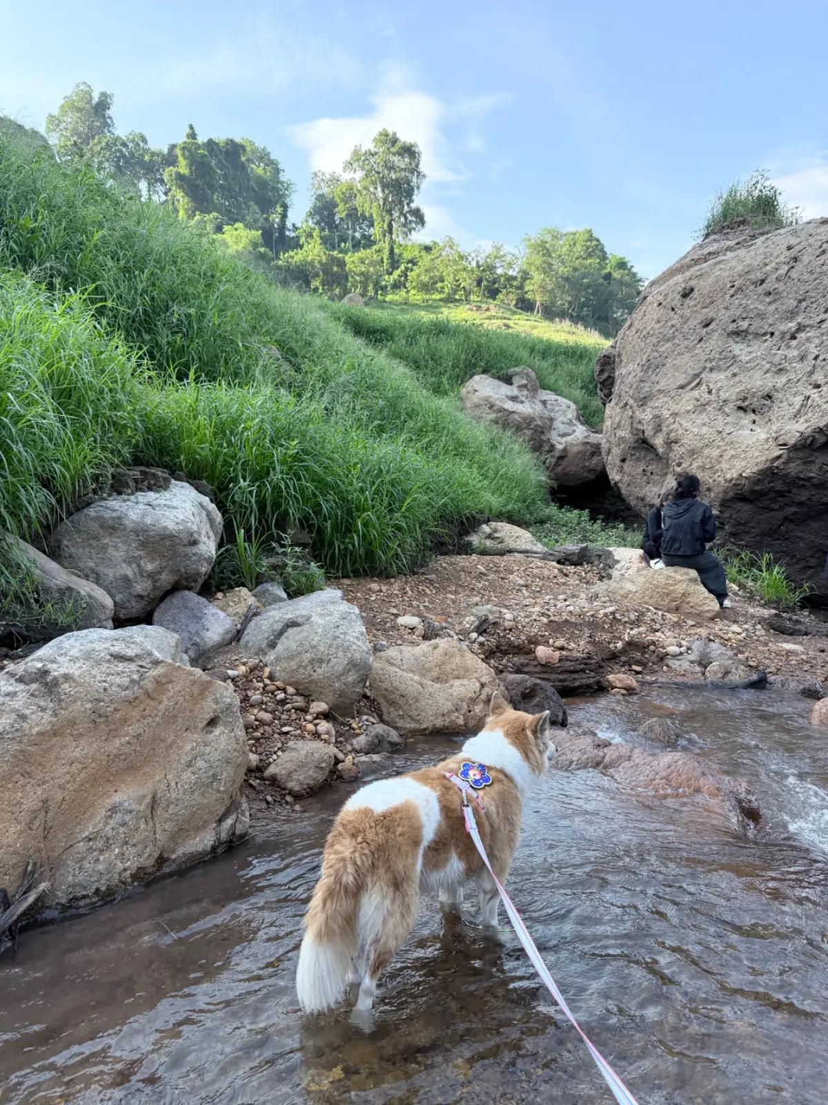 น้ำตกเขาช่องลม pets image 17