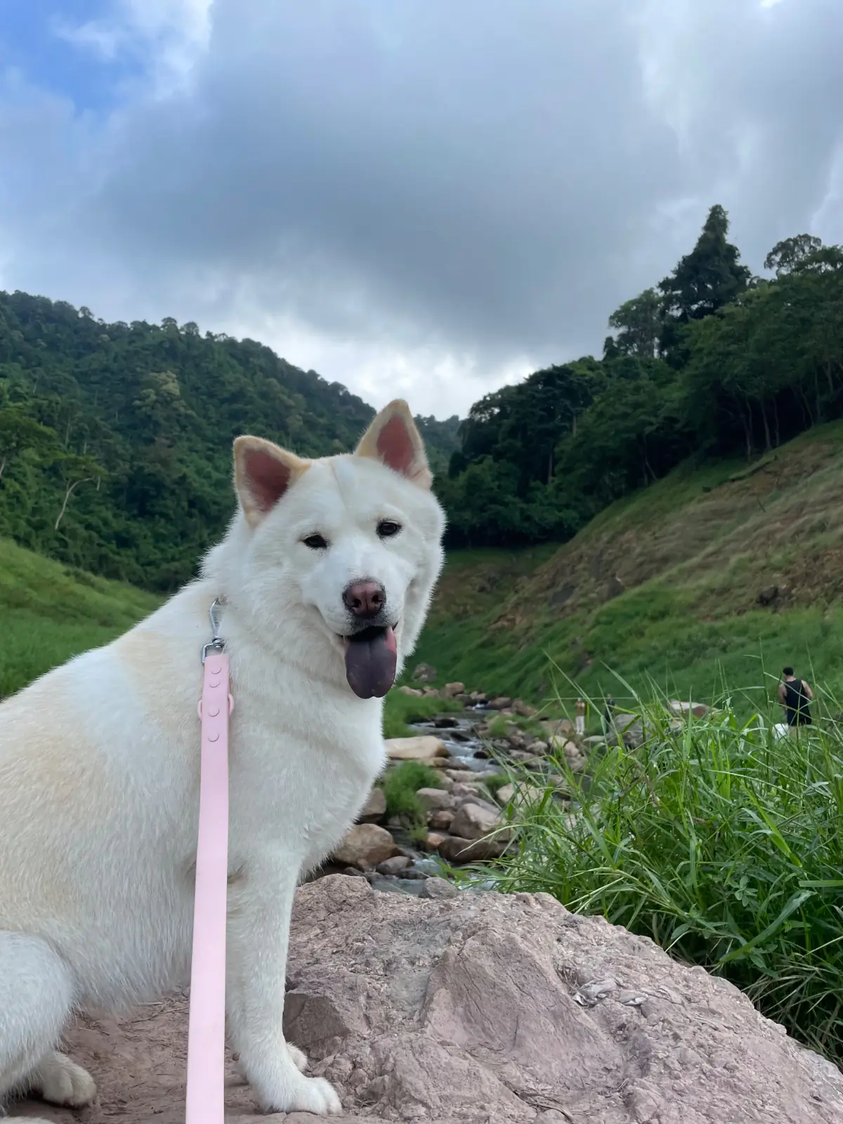 น้ำตกเขาช่องลม pets image 1