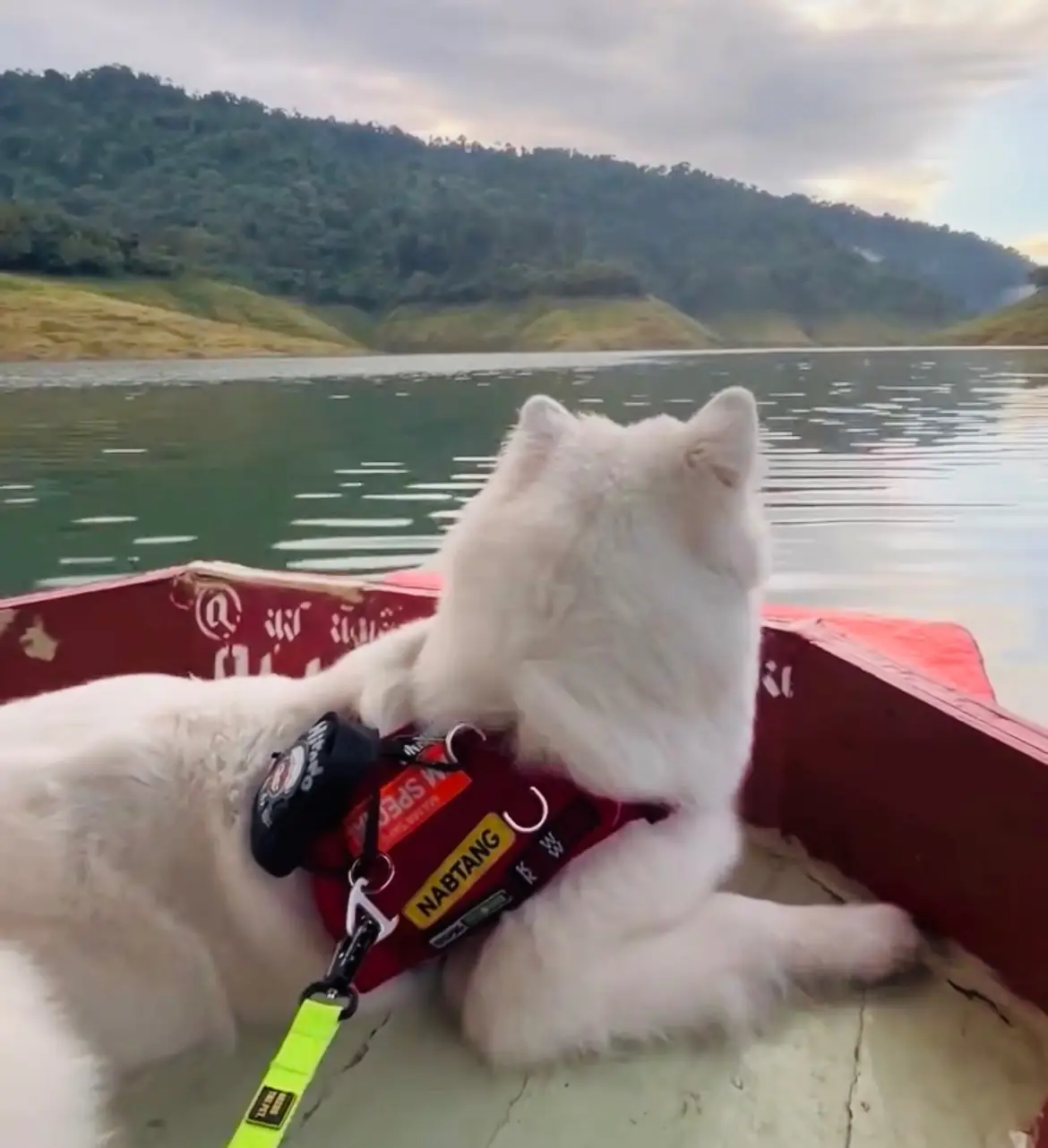 น้ำตกเขาช่องลม pets image 4