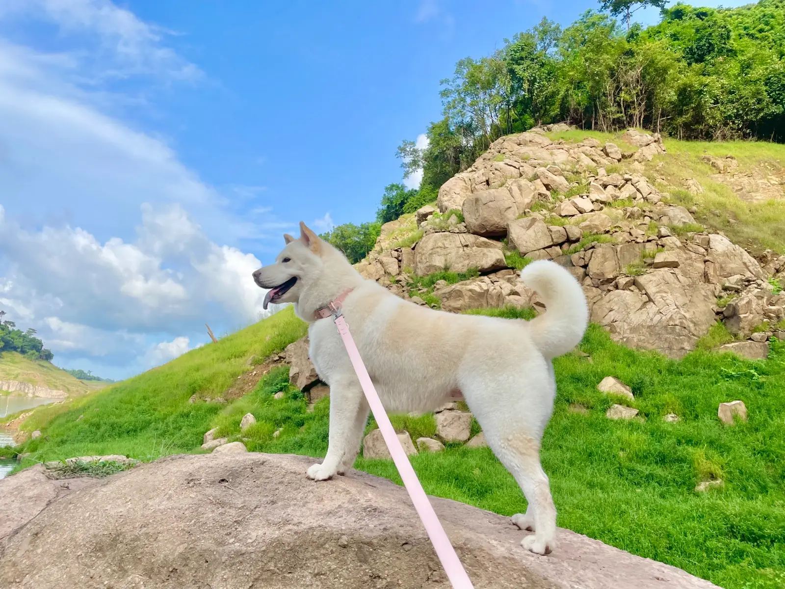 น้ำตกเขาช่องลม pets image 2