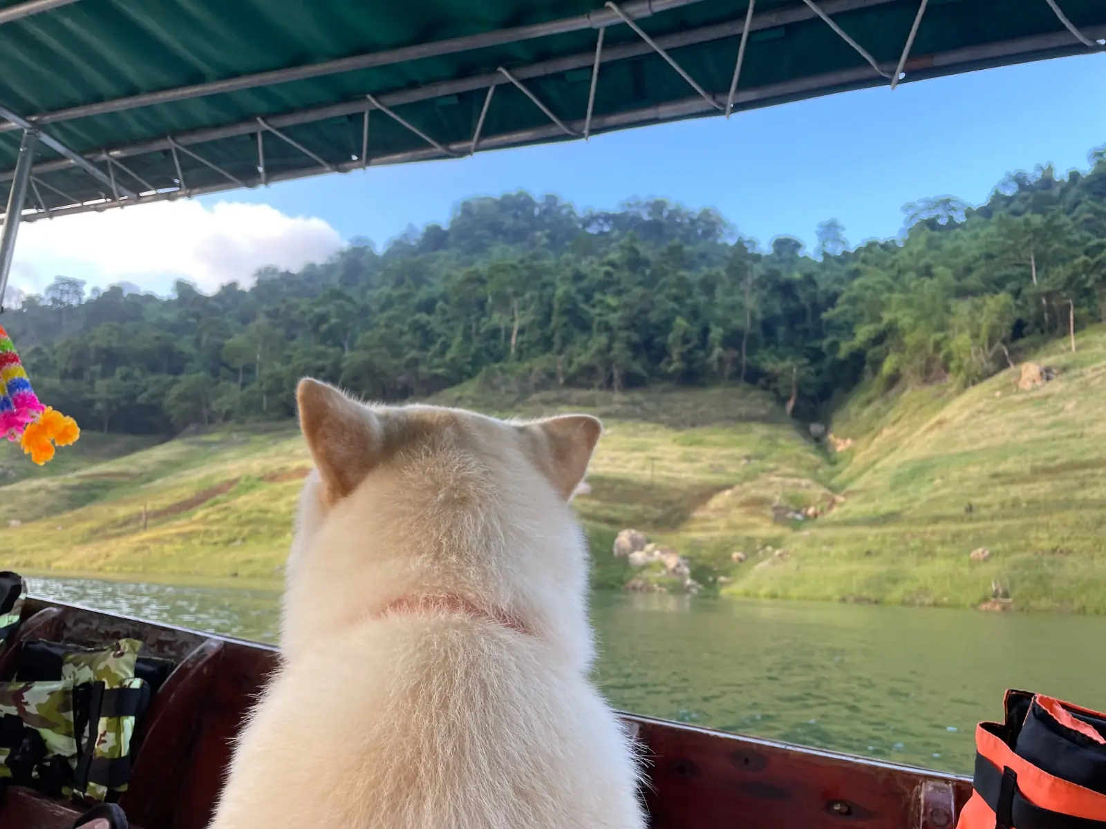 น้ำตกเขาช่องลม pets image 3