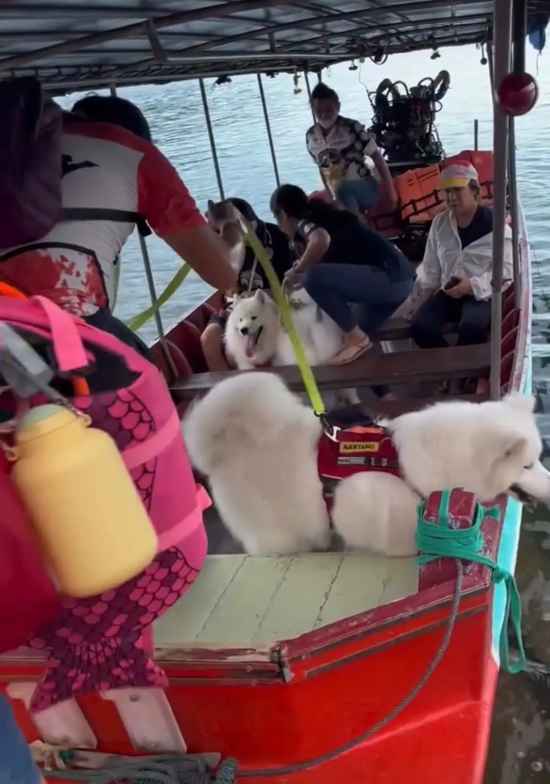 น้ำตกเขาช่องลม pets image 2
