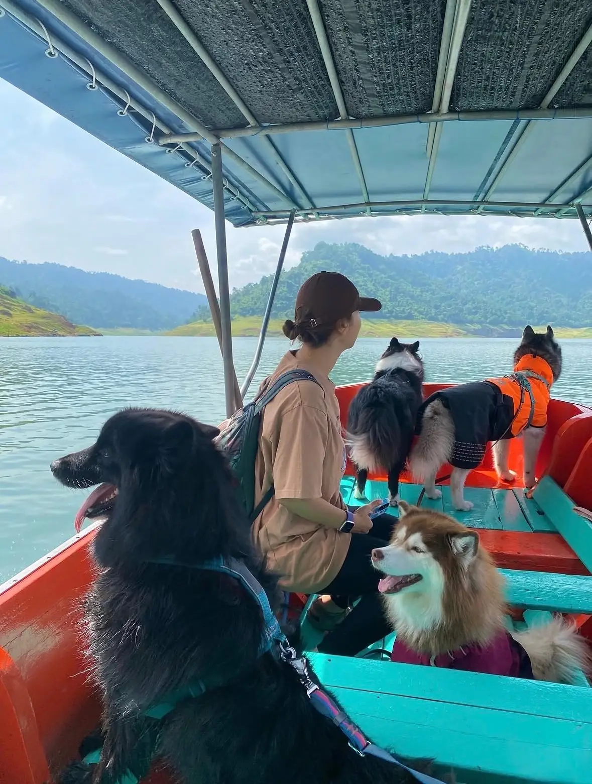 น้ำตกเขาช่องลม pets image 15