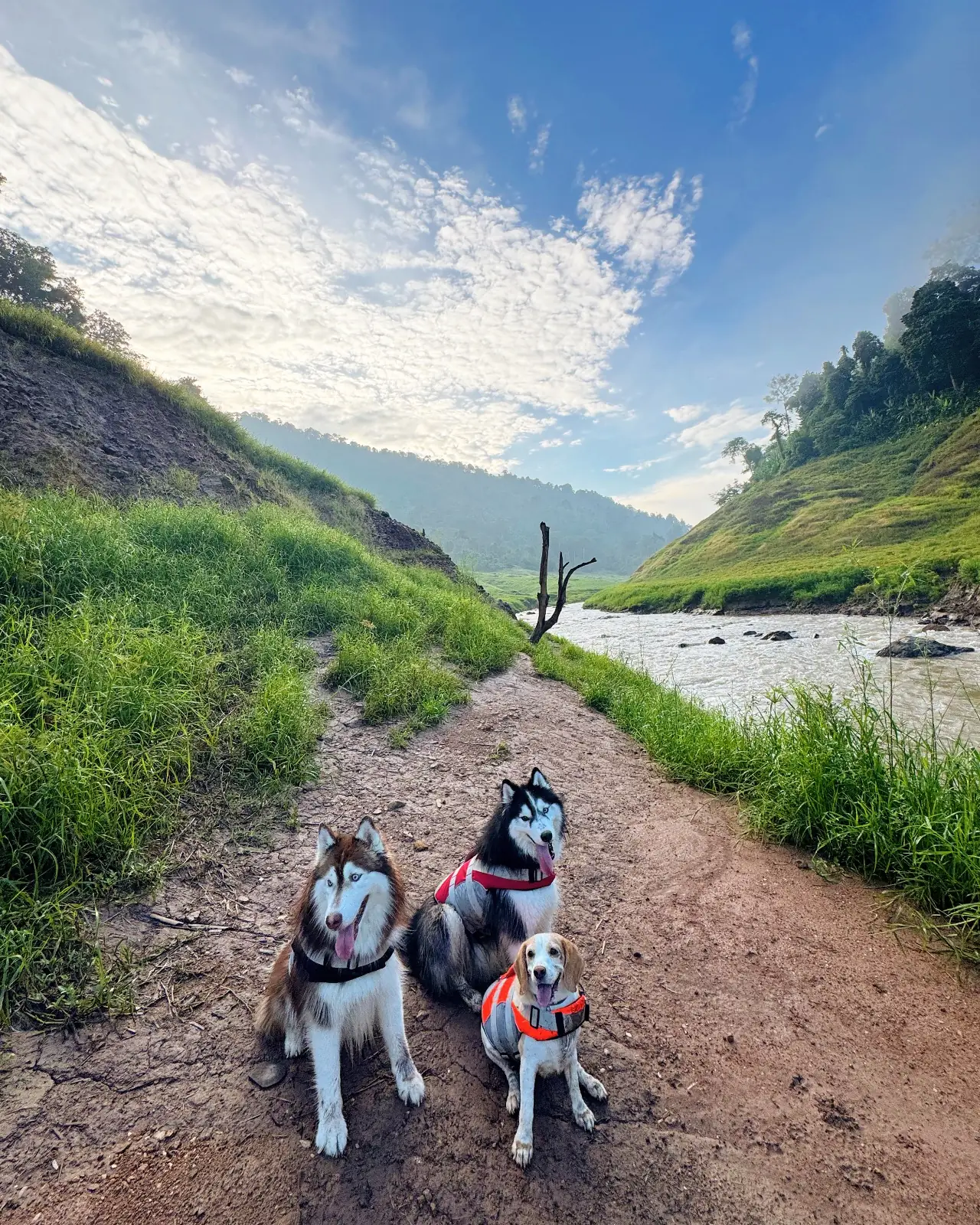 น้ำตกเขาช่องลม pets image 11