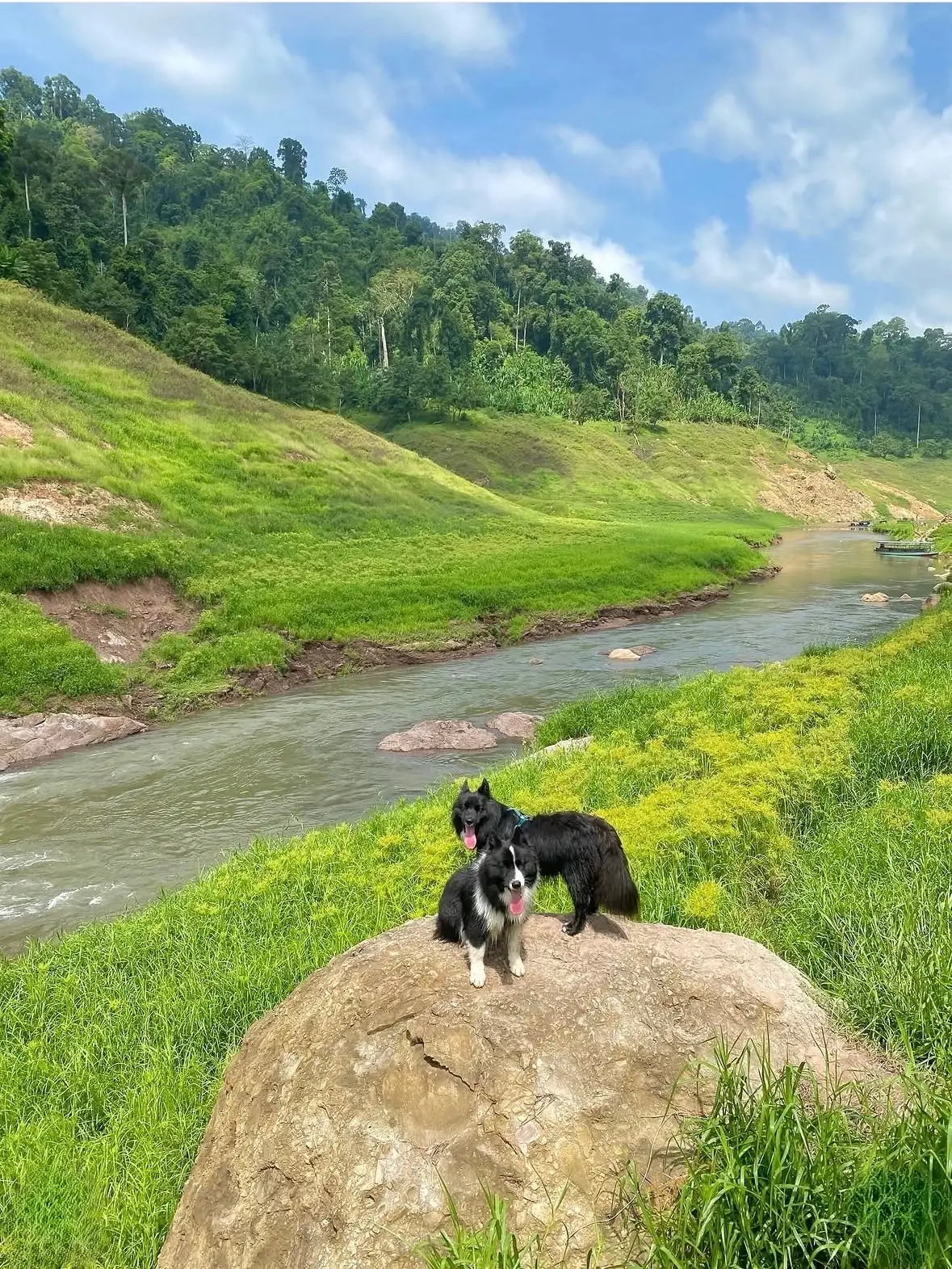 น้ำตกเขาช่องลม pets image 13