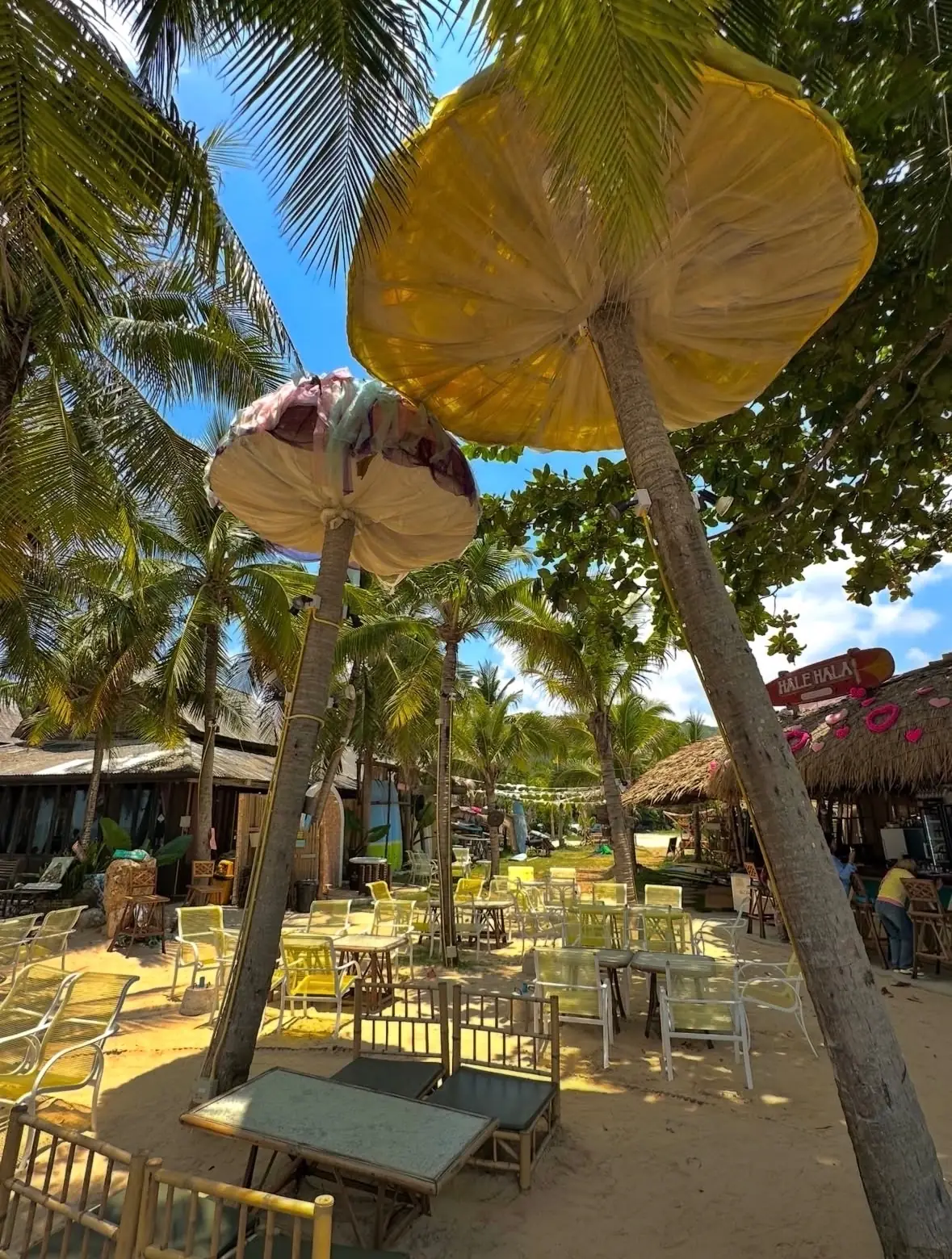 Halehala Beach Club overall image 3