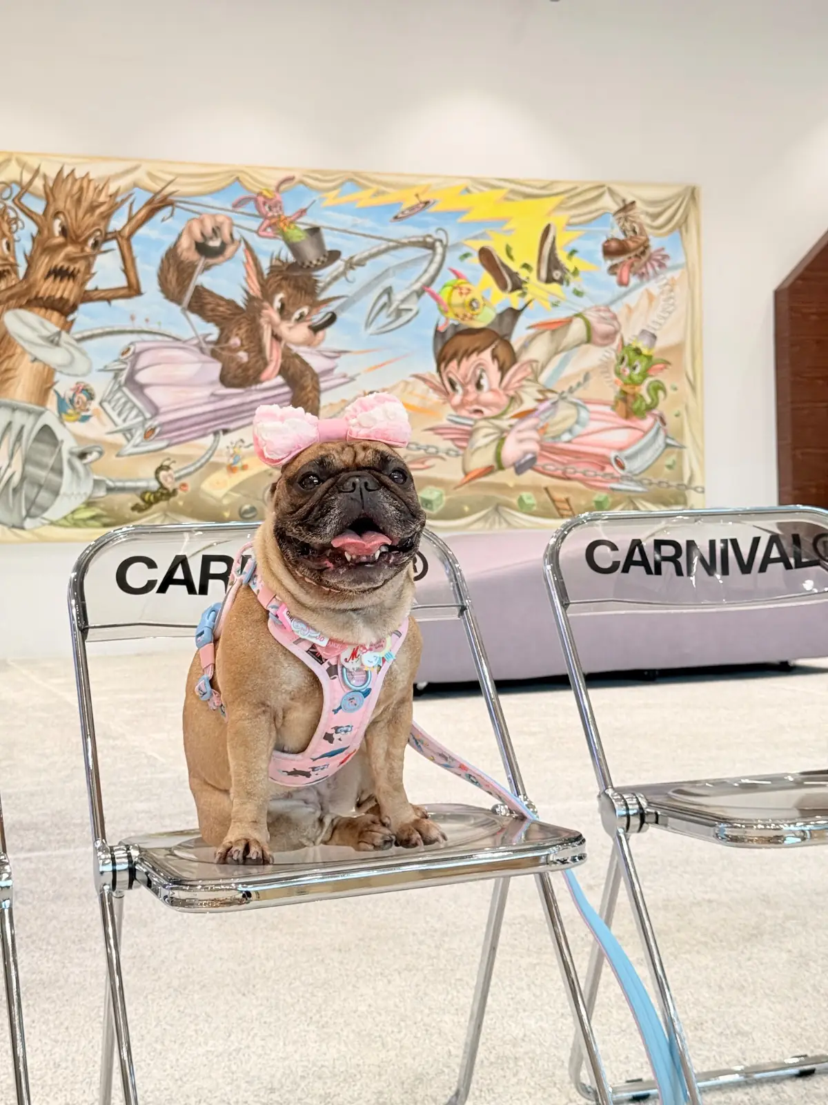 The Carnival BKK pets image 1