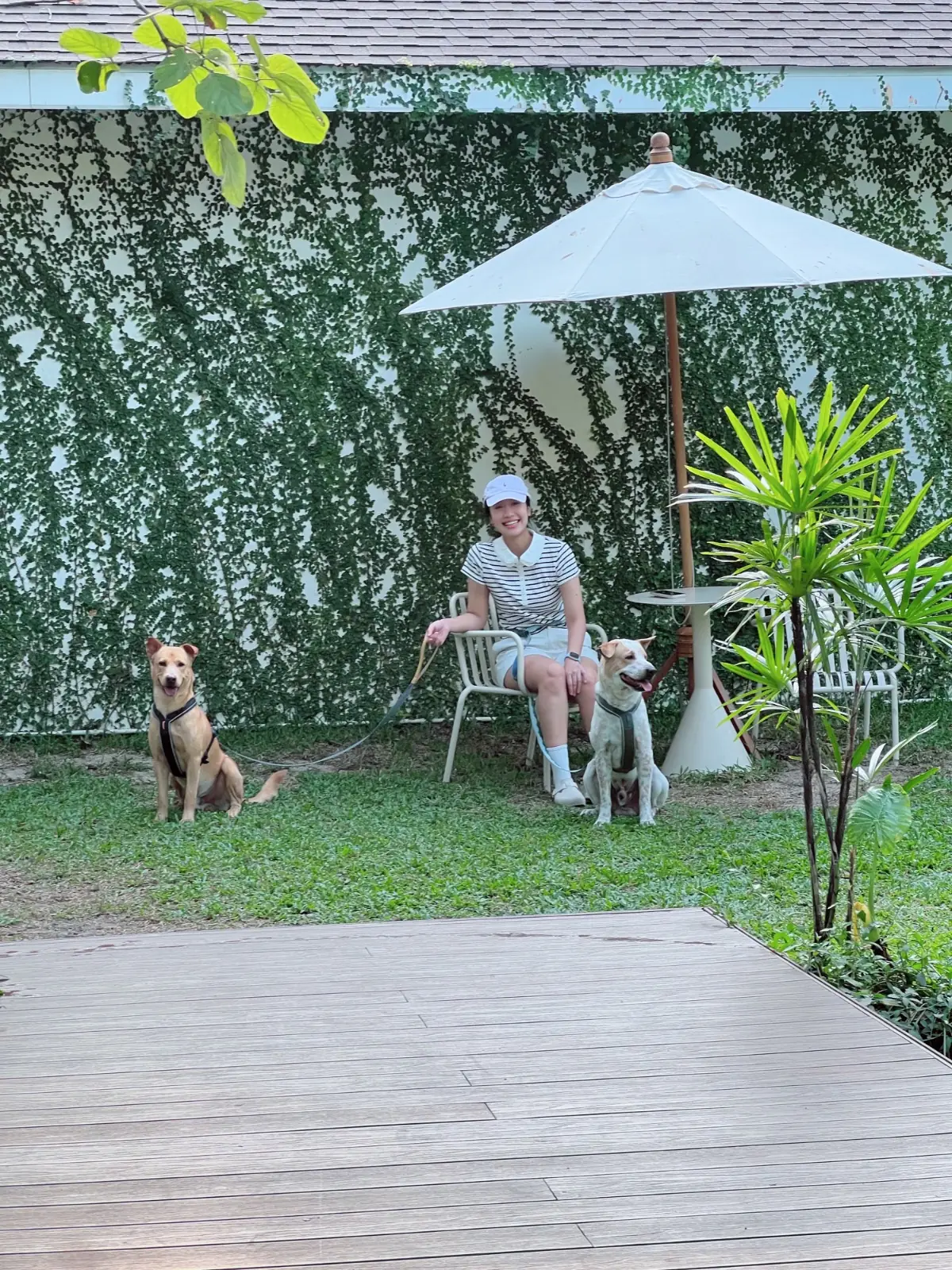 Bitter House Sansab ambiance image 1