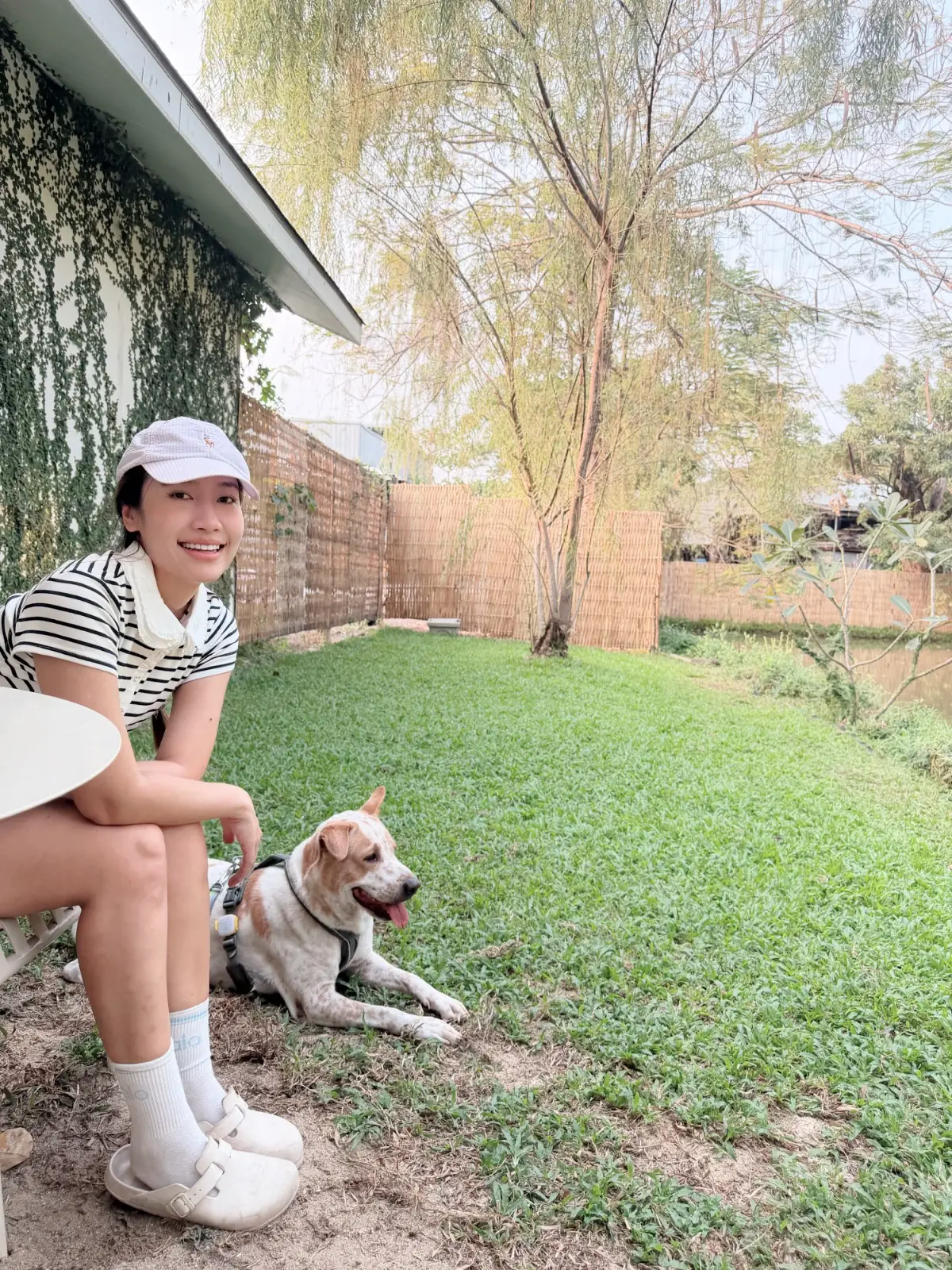 Bitter House Sansab overall image 1