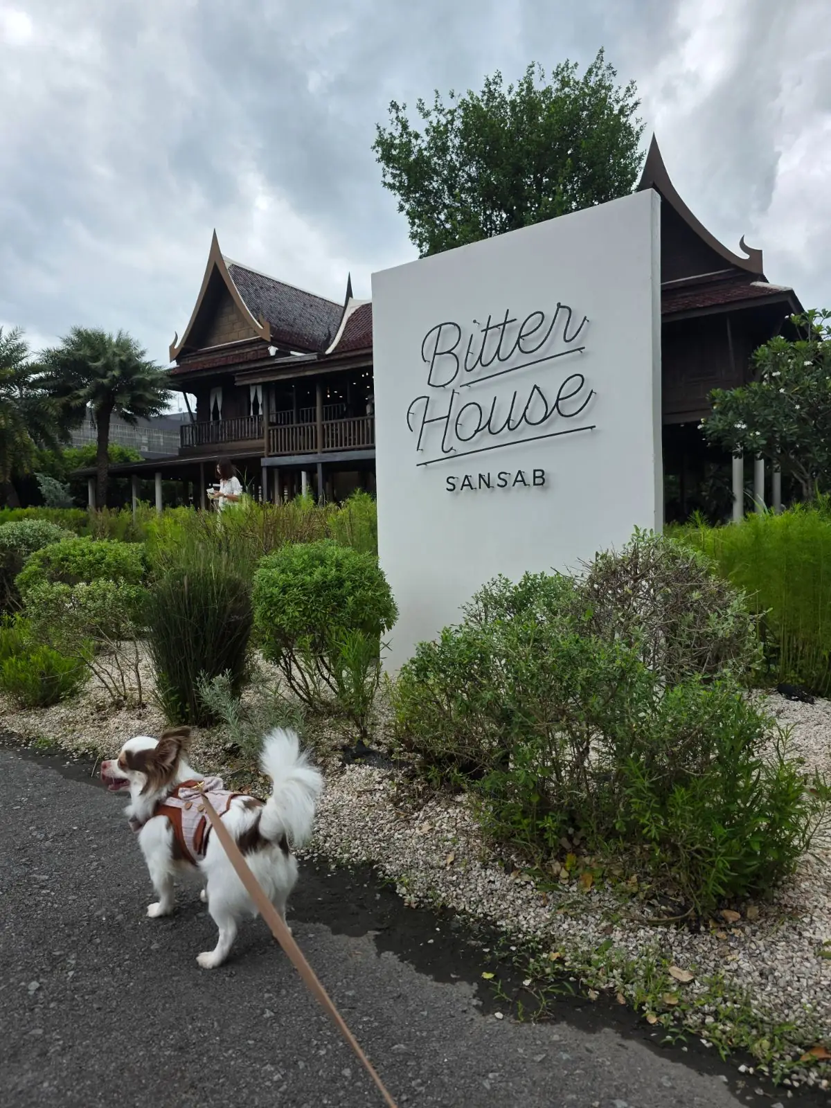 Bitter House Sansab pets image 3