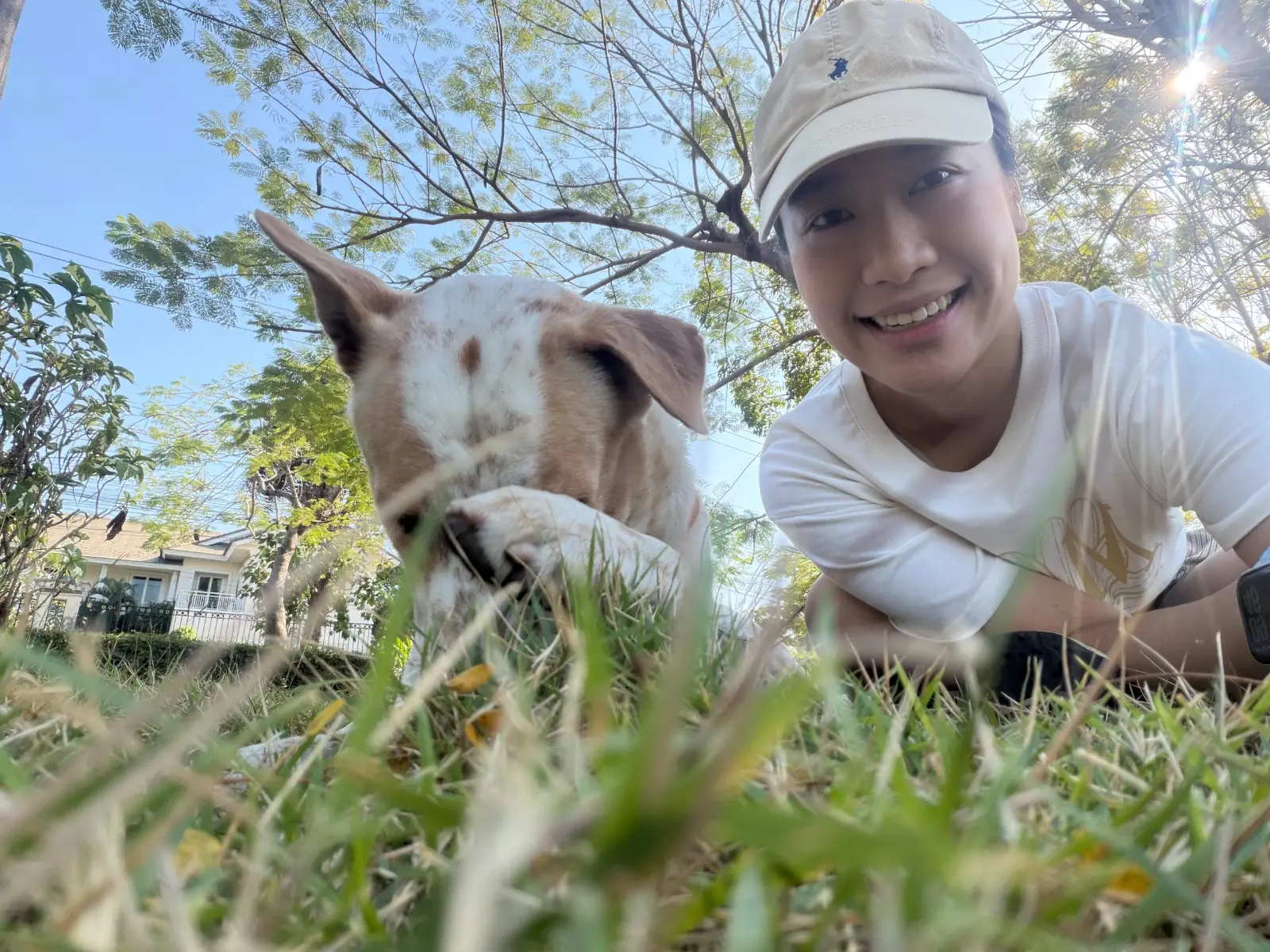 Bitter House Sansab pets image 3