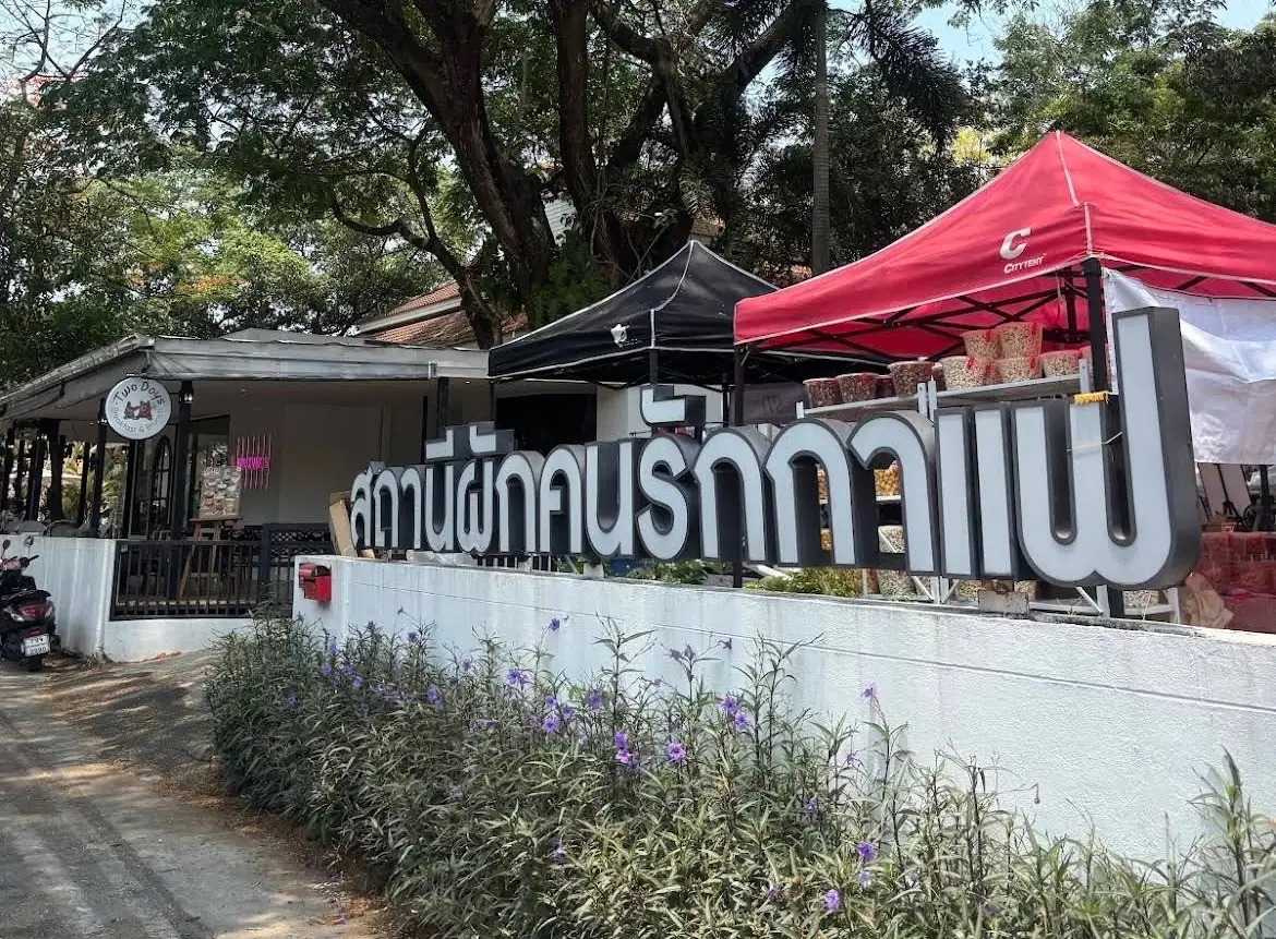 สถานีผัก & คนรักกาแฟ ambiance image 1