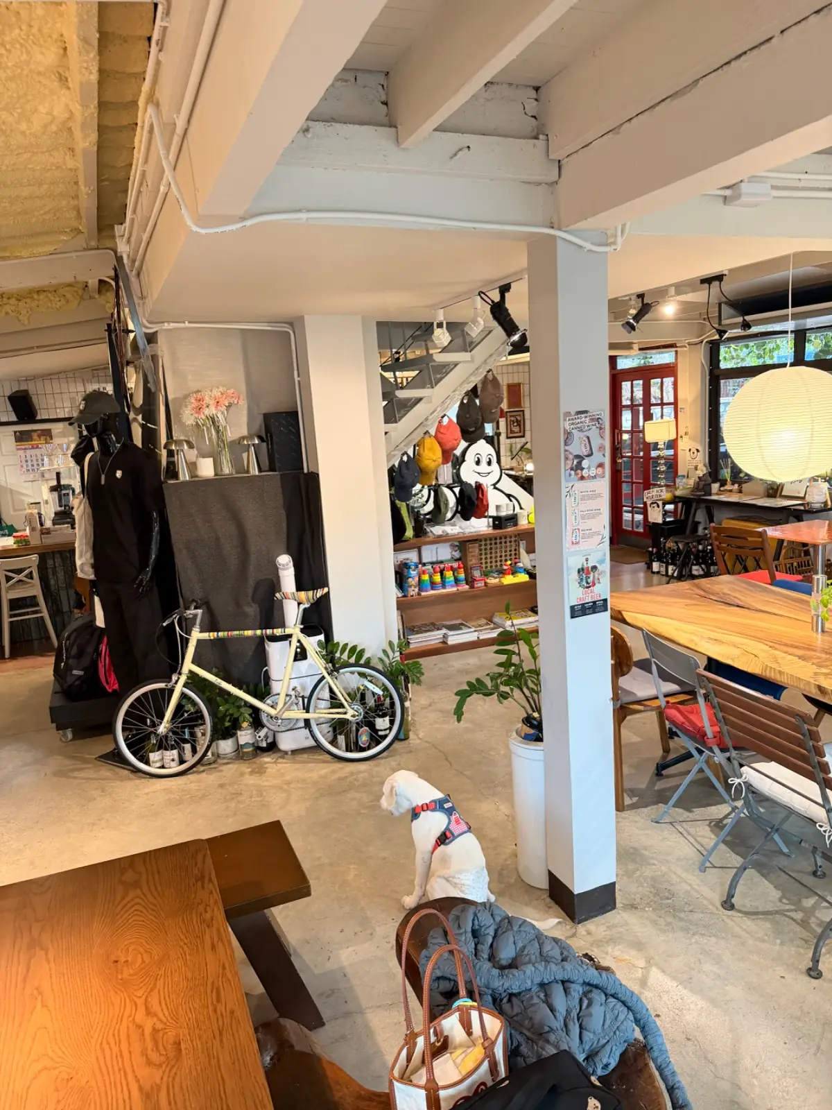 POONYPOONYCOFFEE -  RAMA9 pets image 3