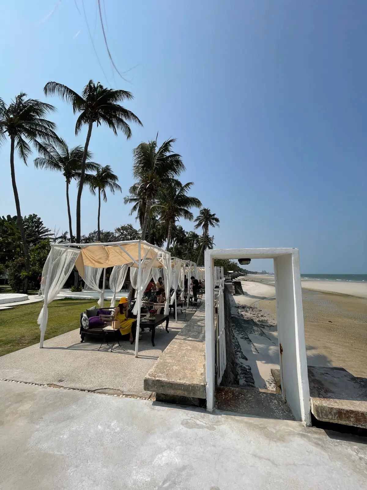 MATAPITA.TEA ambiance image 2