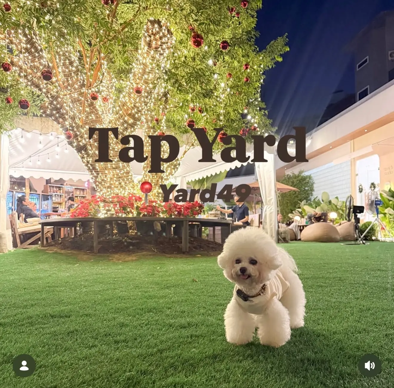 Tap Yard overall image 1
