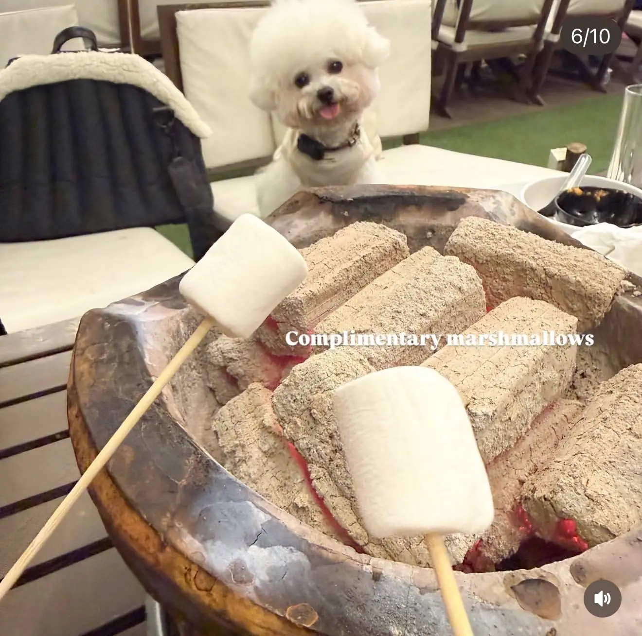 Tap Yard food image 1