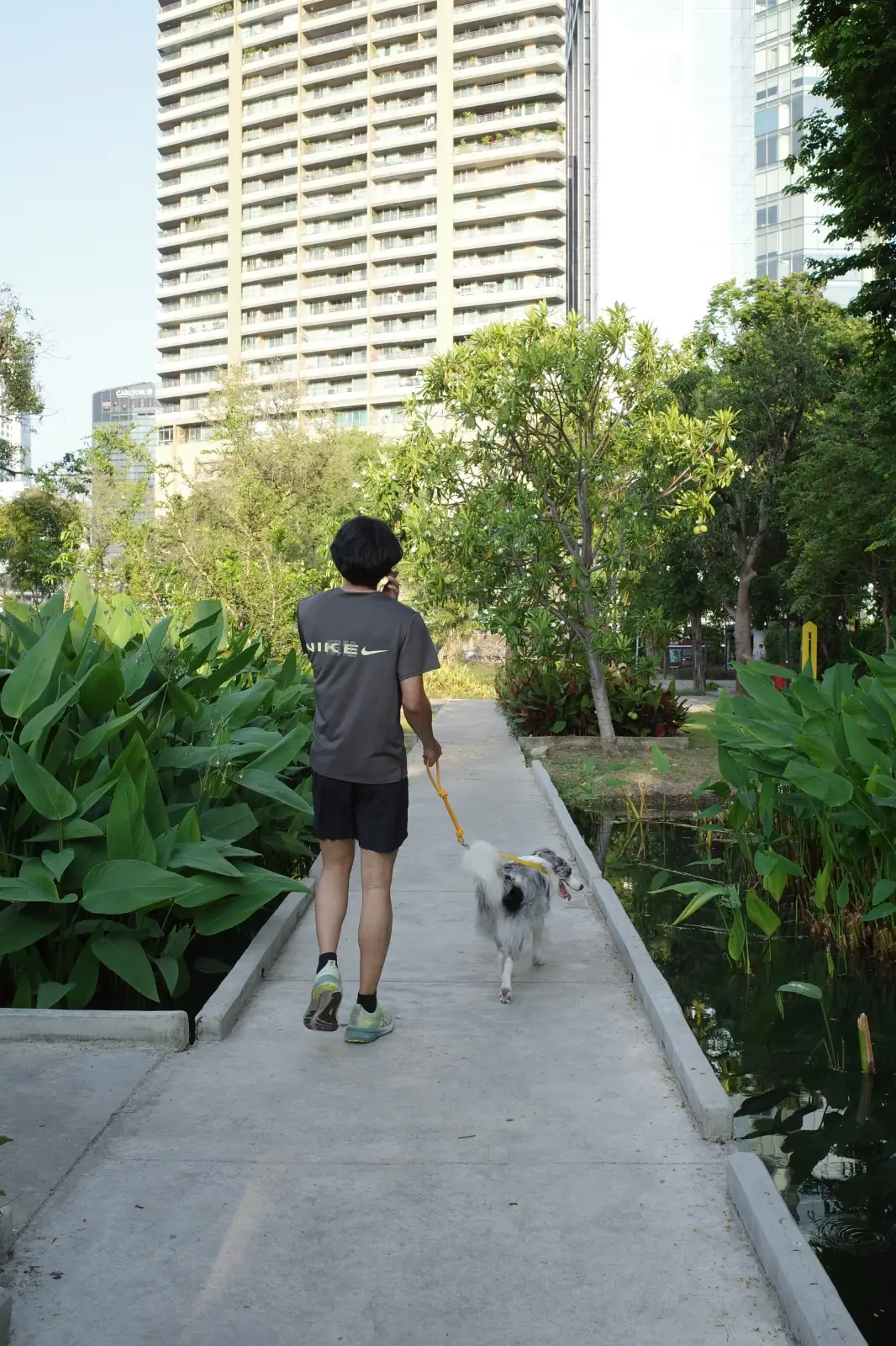 สวนสุนัข สวนเบญจกิติ overall image 1