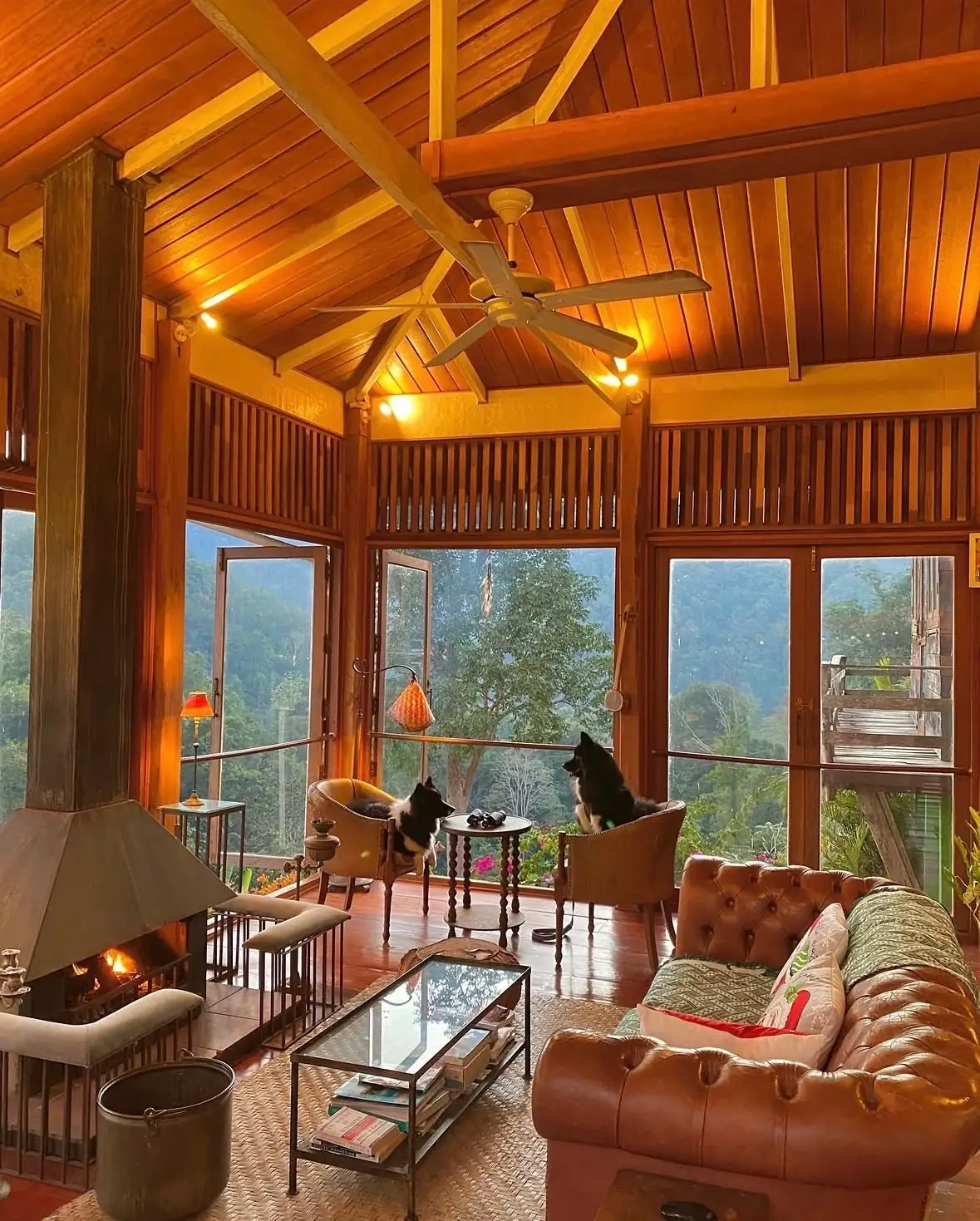 BLISS Homestay - Maetaeng pets image 1