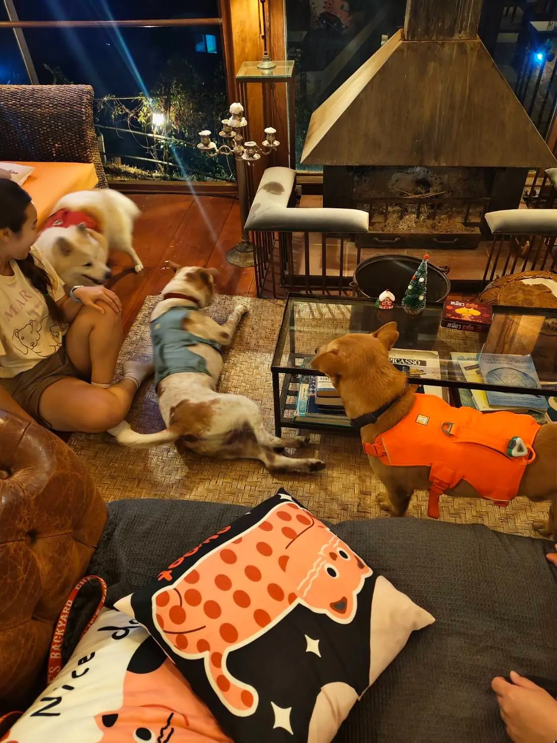 BLISS Homestay Maetaeng pets image 5