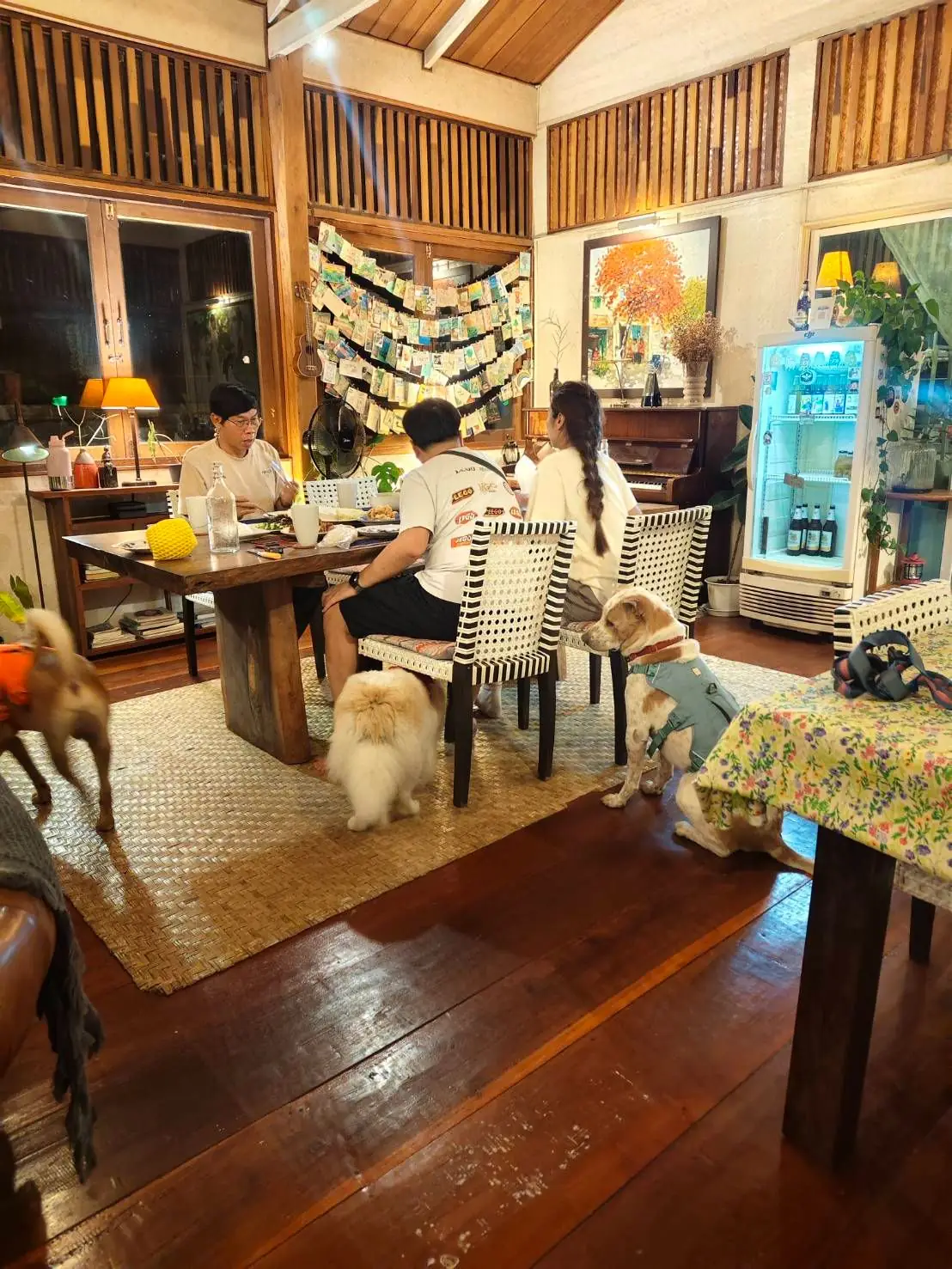 BLISS Homestay Maetaeng pets image 4