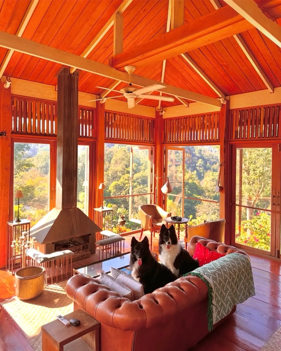 BLISS Homestay - Maetaeng pets image 2