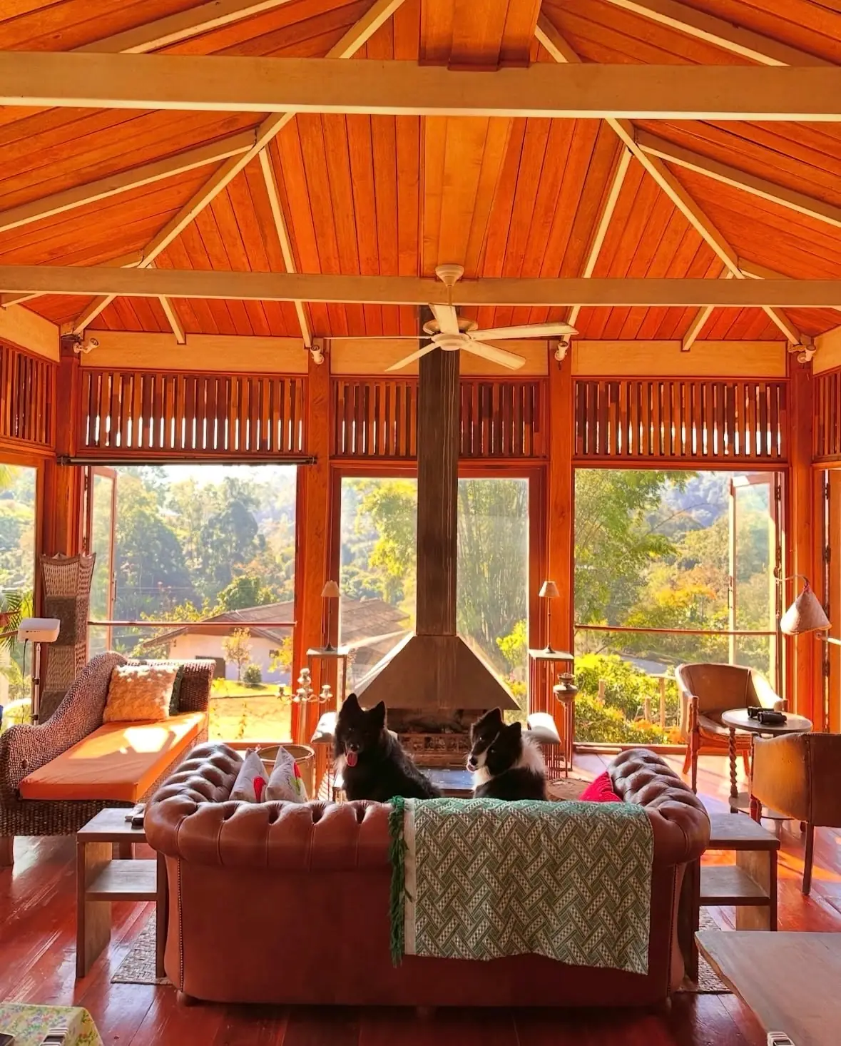 BLISS Homestay - Maetaeng pets image 3