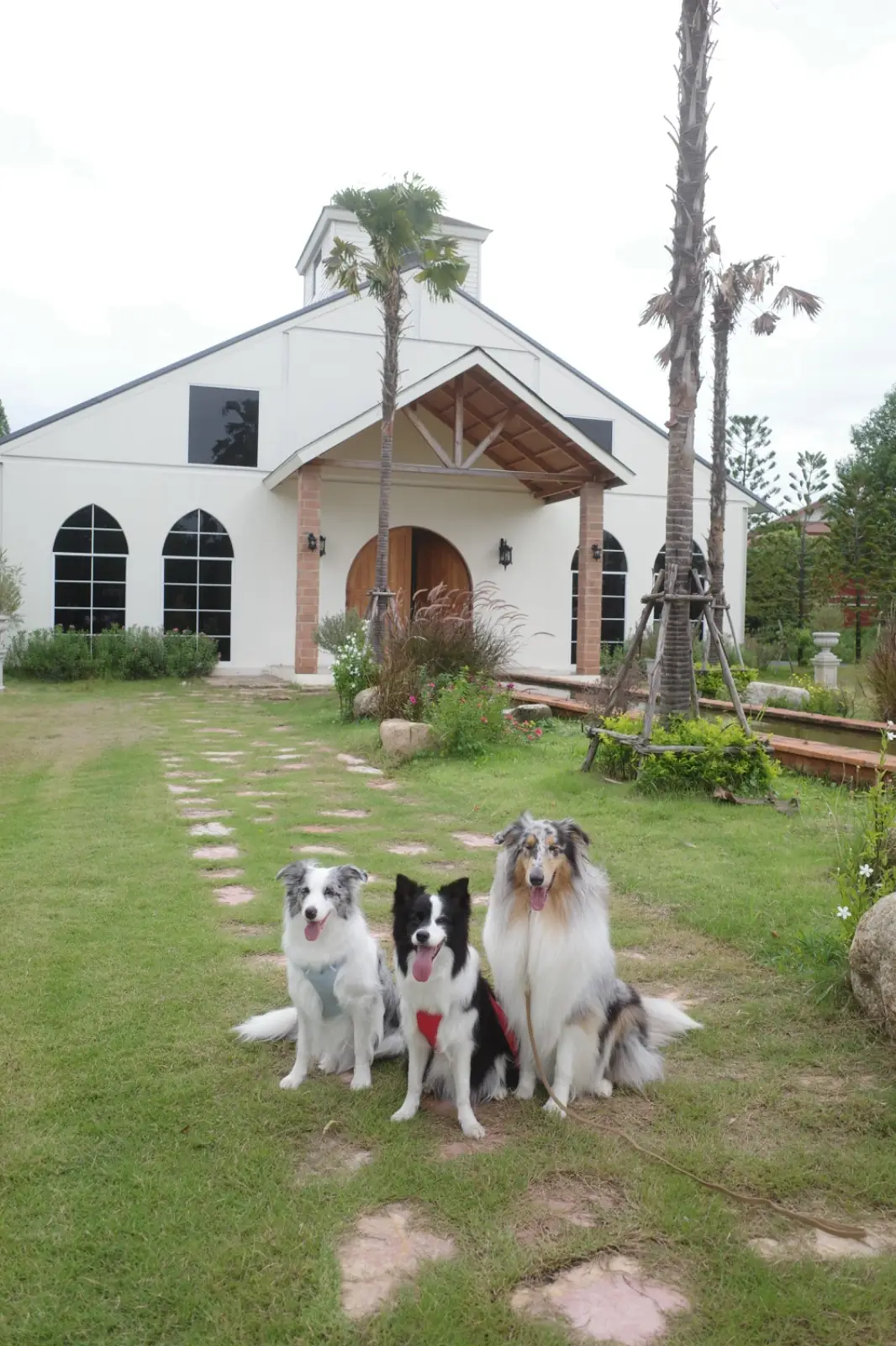 Dpresso Cafe pets image 1