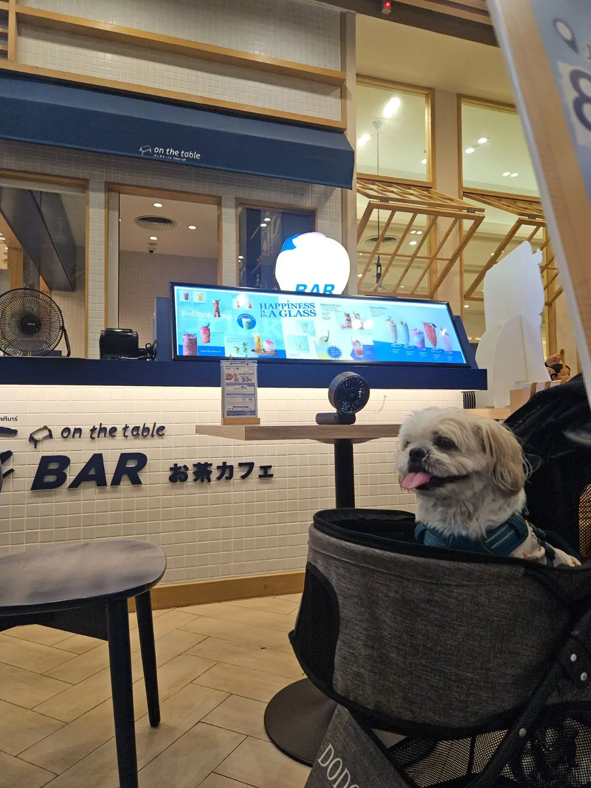 On the Table - Central Westville pets image 1