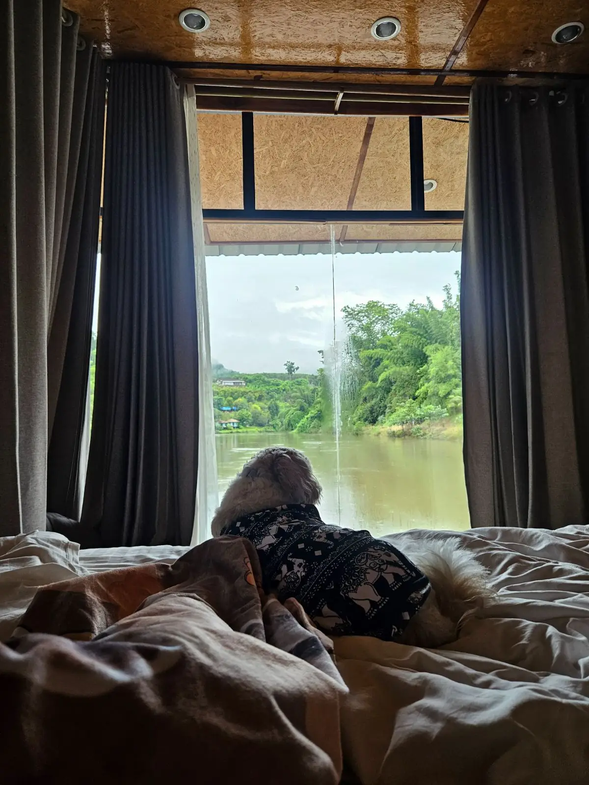 Green House River Kwai Resort pets image 2