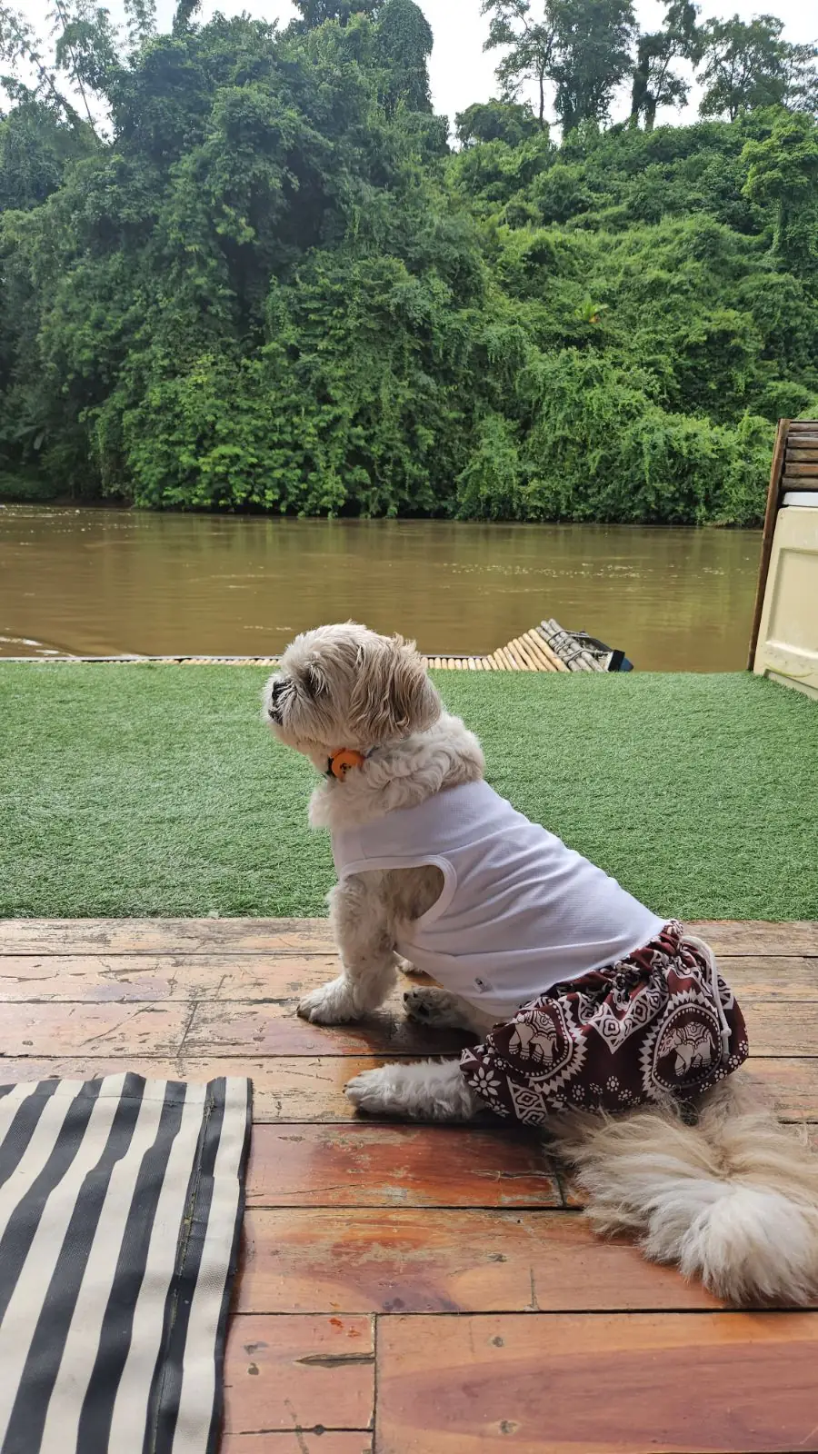 Green House River Kwai Resort pets image 1