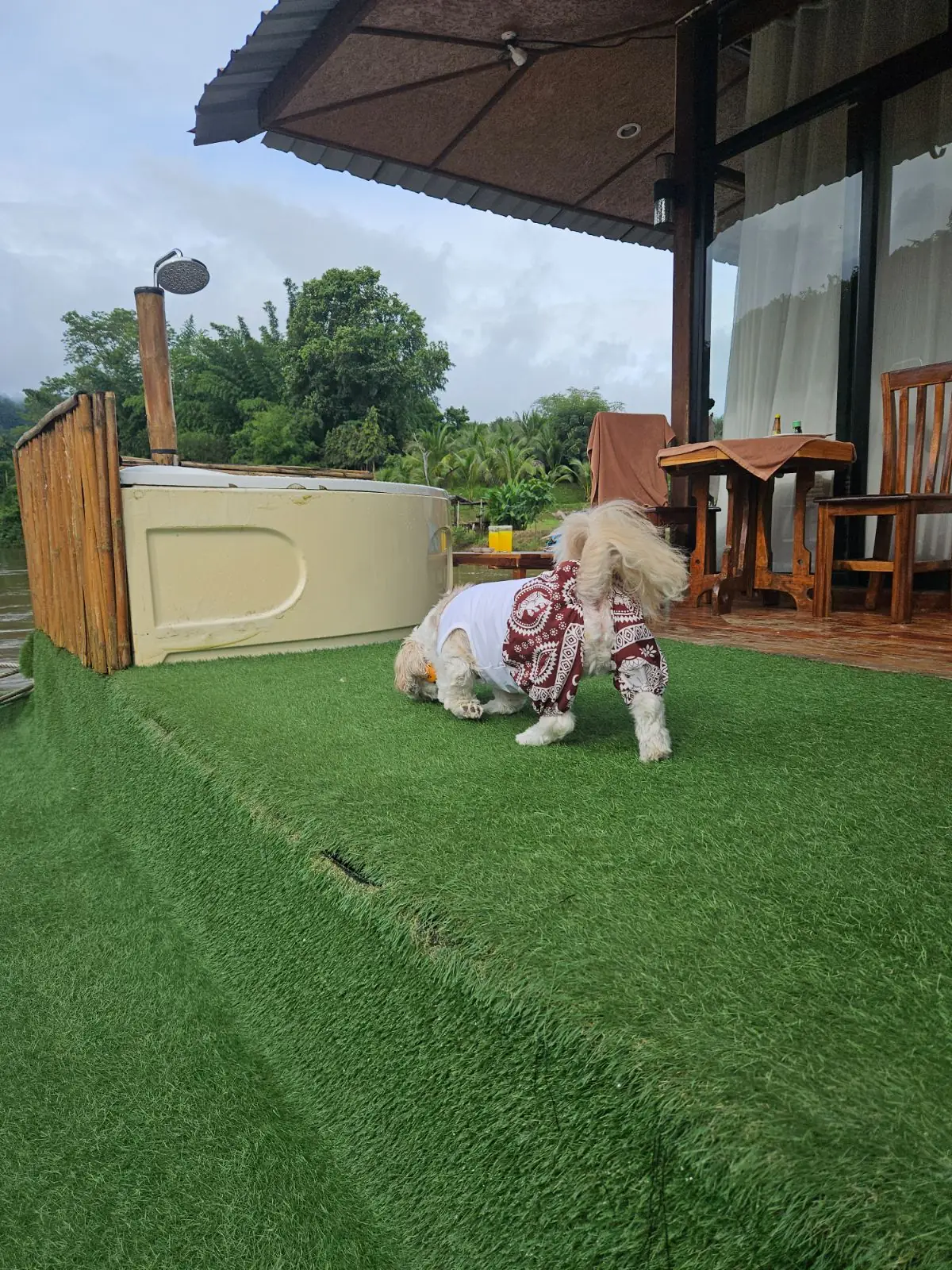 Green House River Kwai Resort pets image 3