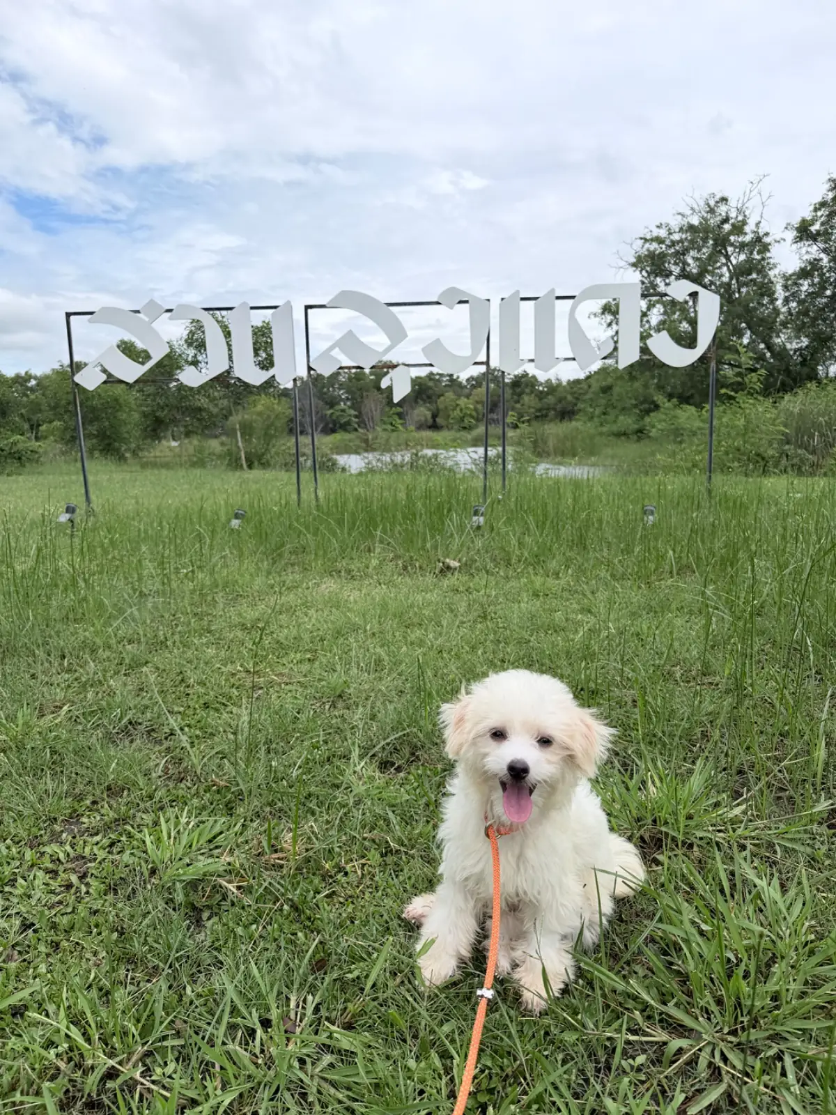 สวนลุงแดง pets image 3
