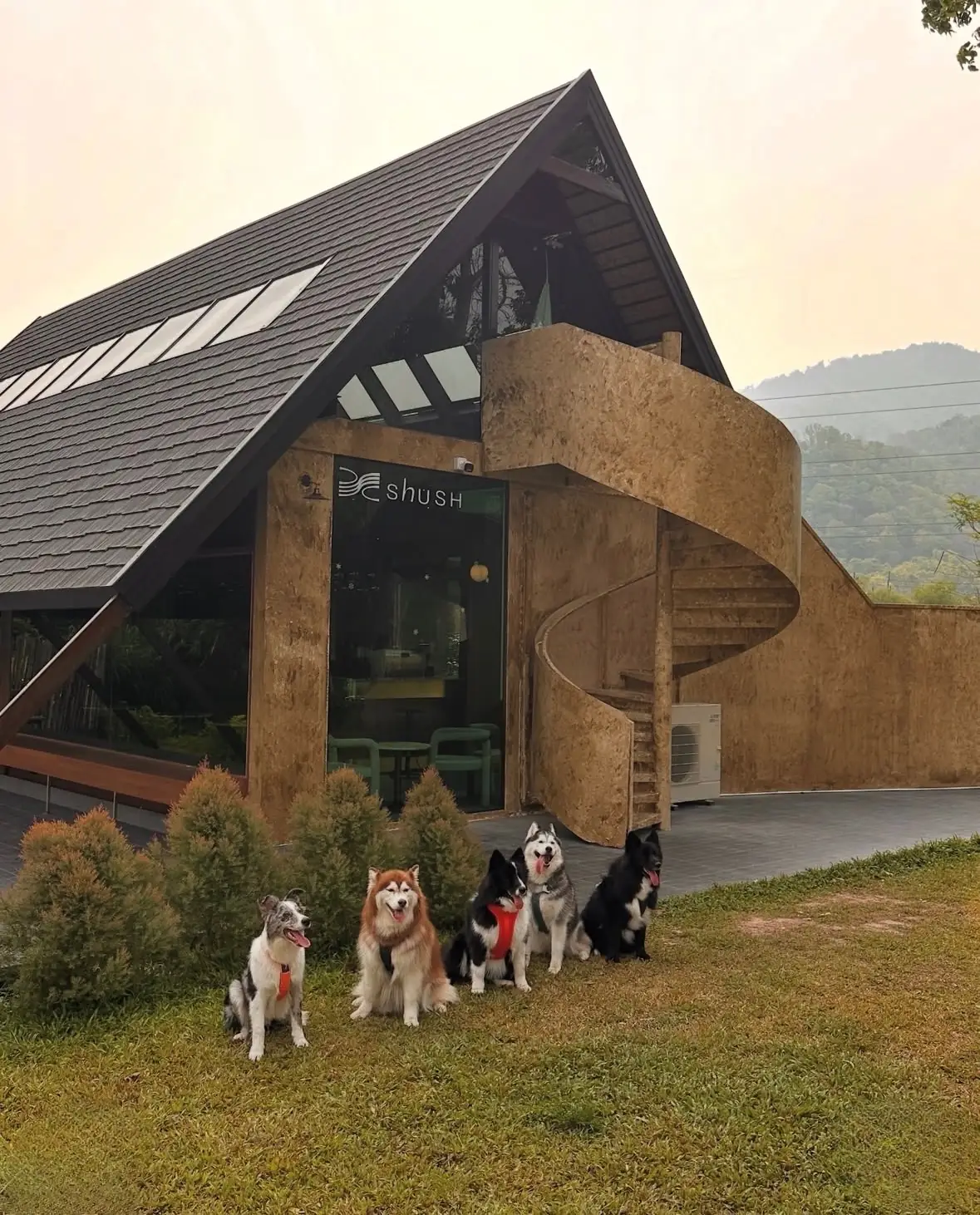ตระการตา แคมป์ pets image 3