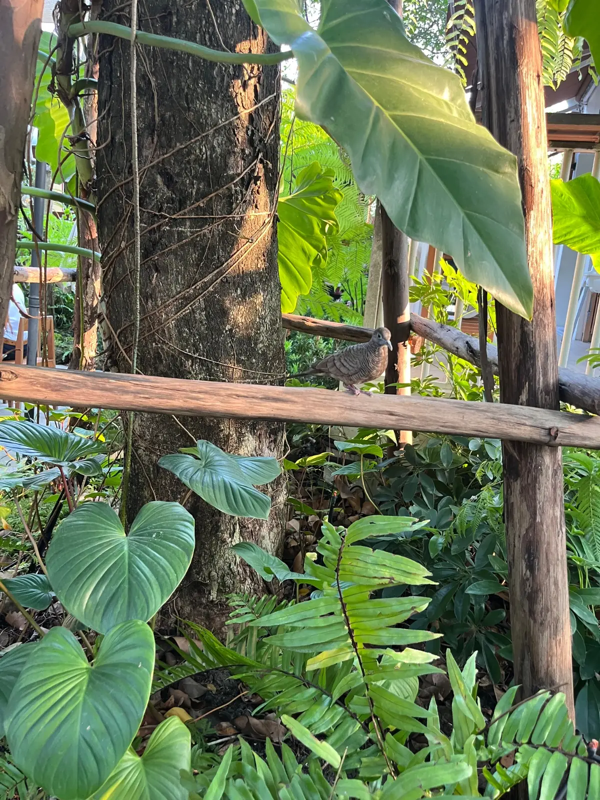 Oakland cafe x restaurants other image 2