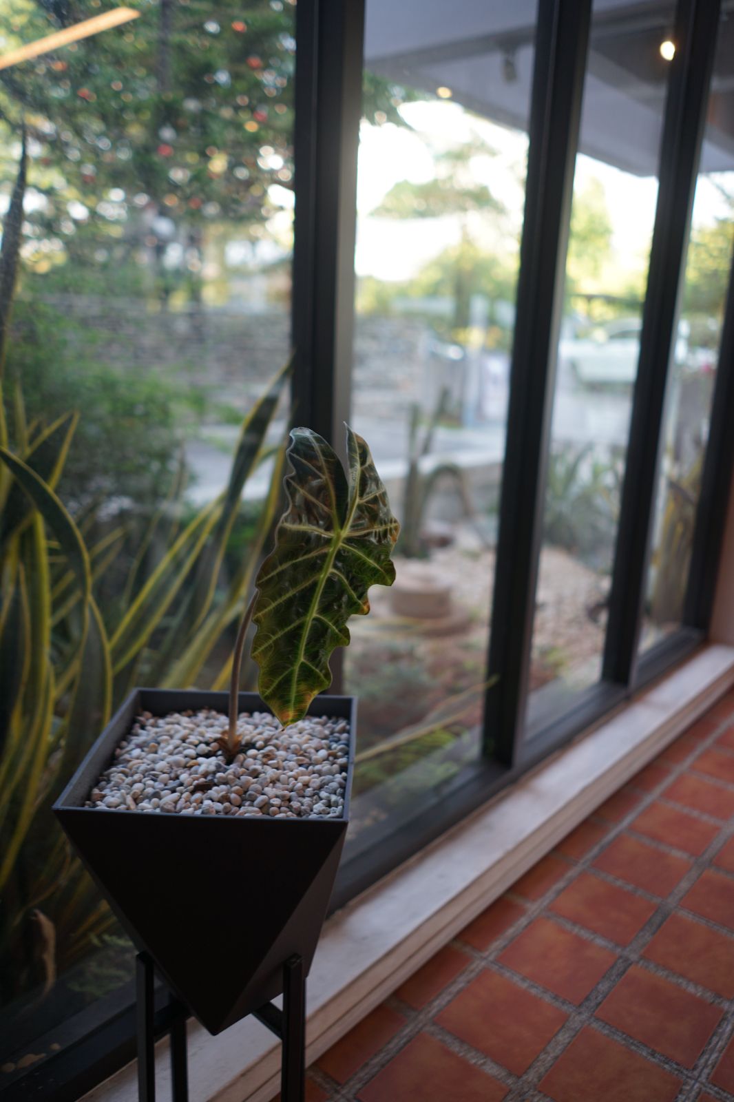 Feed the Beast ambiance image 20