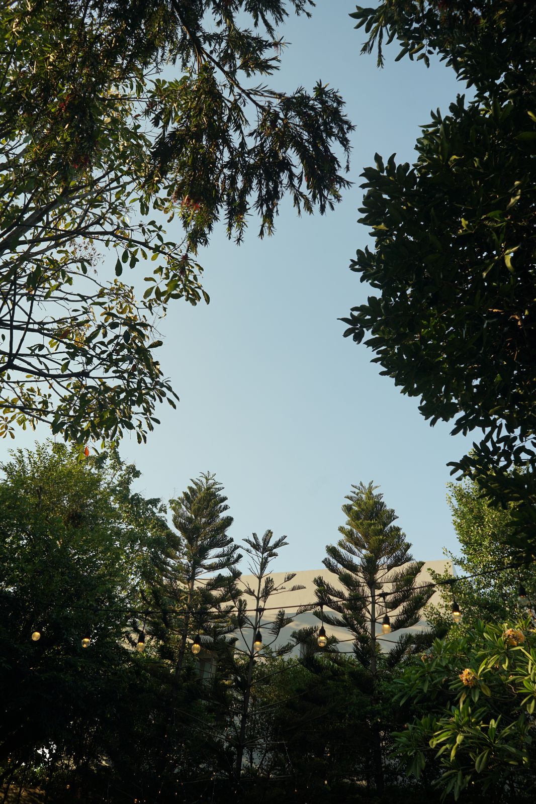 Feed the Beast ambiance image 13