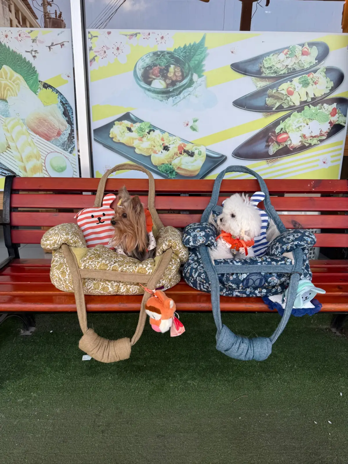 Achisan pets image 3