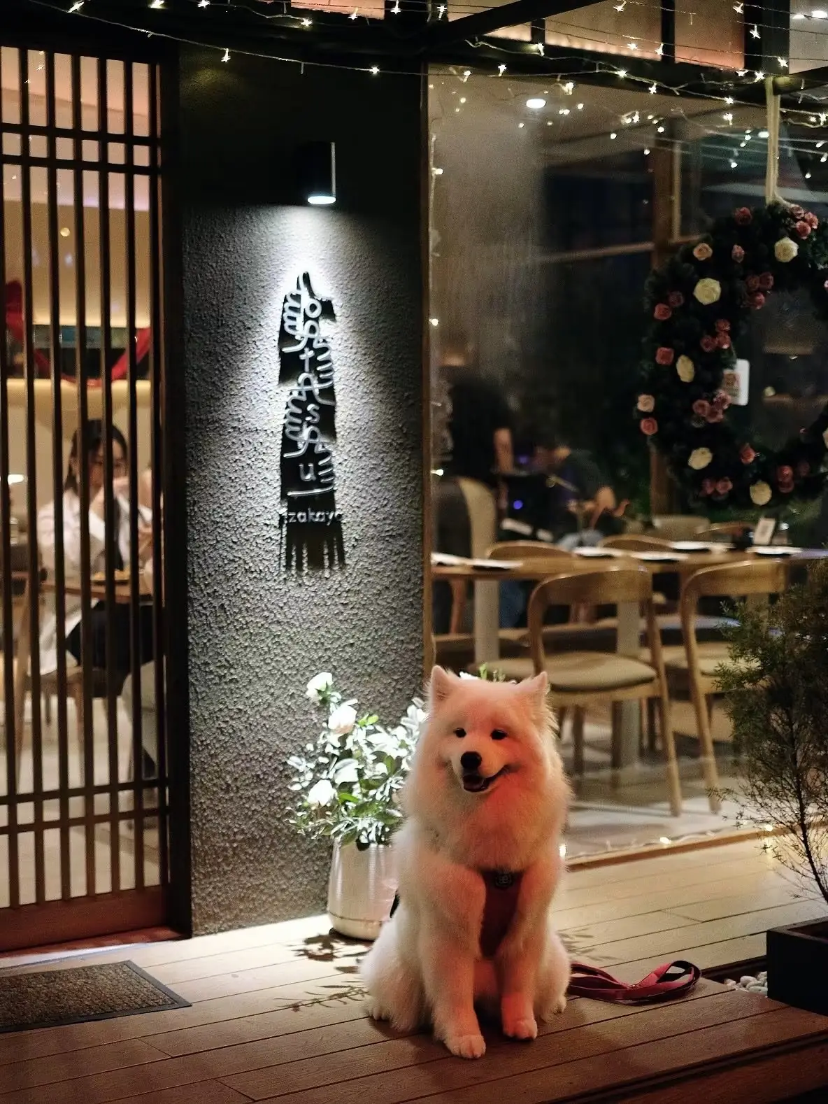 Otsu Izakaya pets image 3