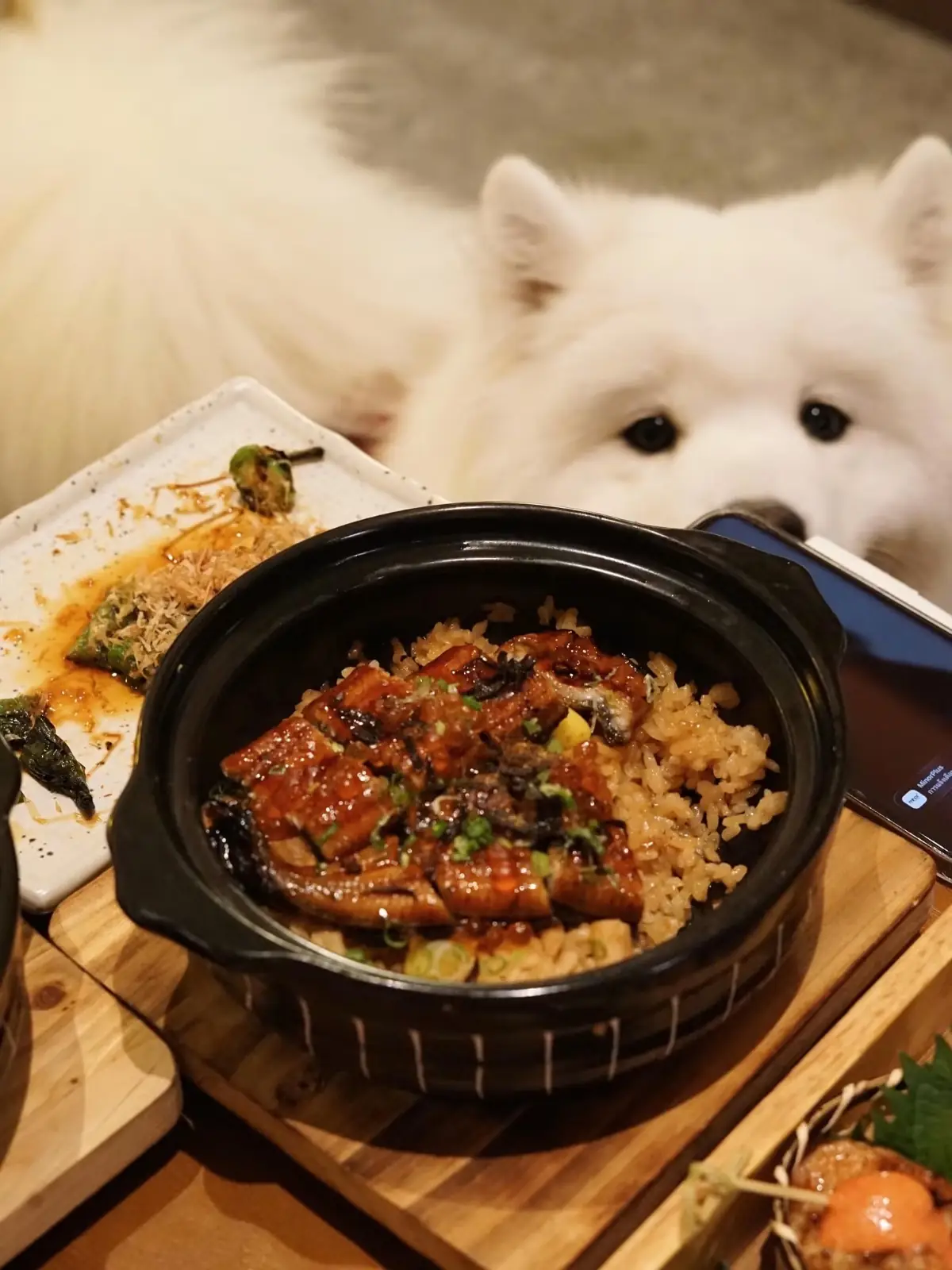 Otsu Izakaya pets image 2