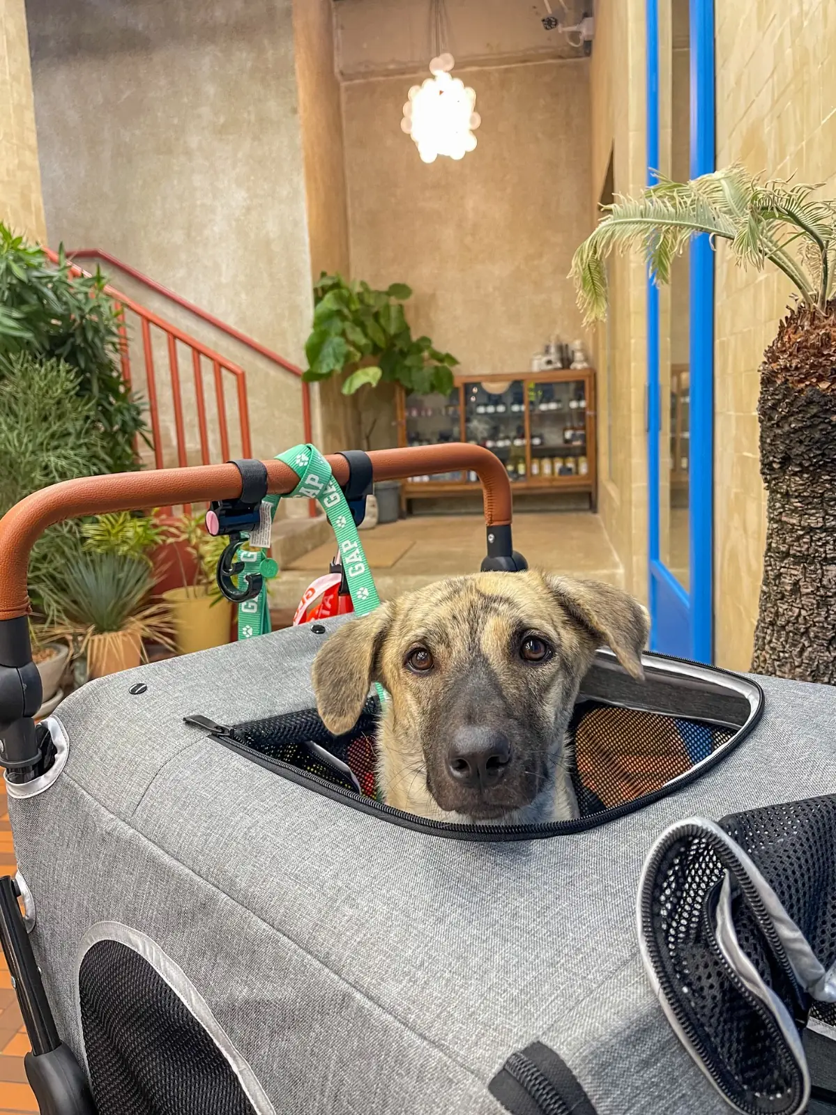 Phed Phed Bistro other image 2