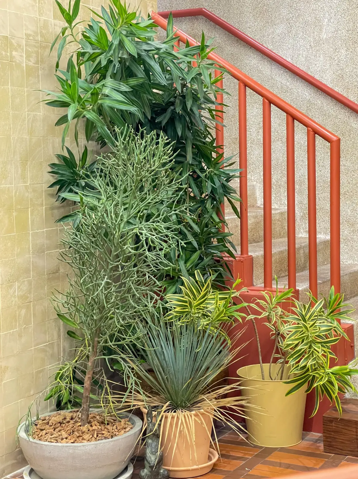 Phed Phed Bistro other image 3