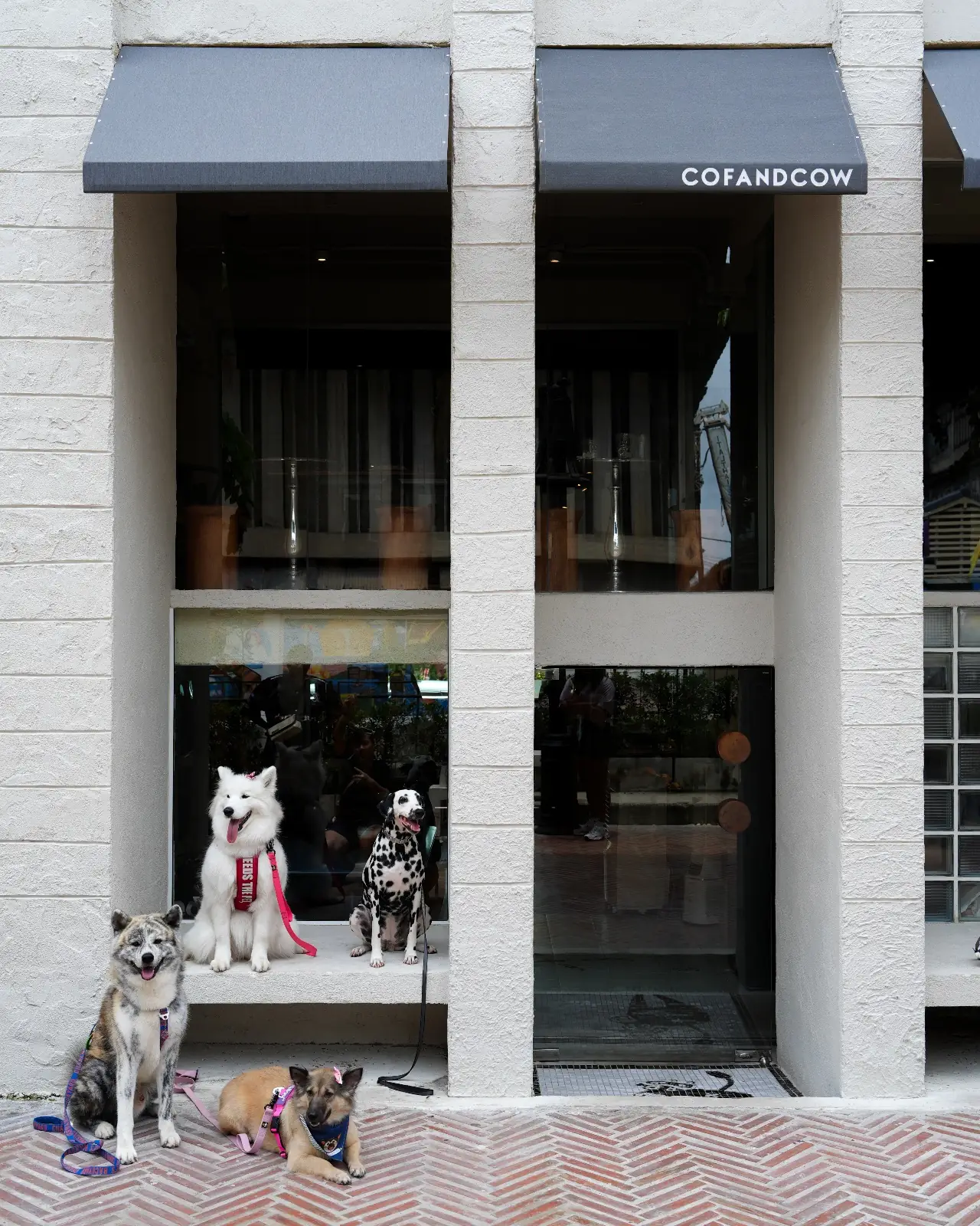 Cof and Cow - Khlong Ong Ang overall image 3