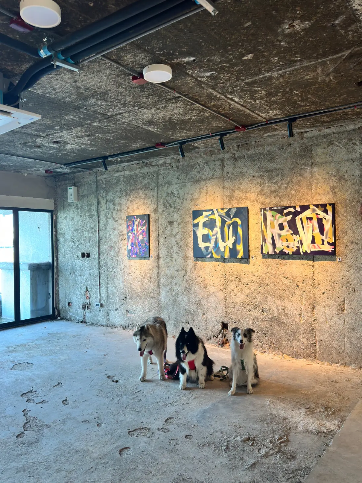 The Lake Club pets image 2