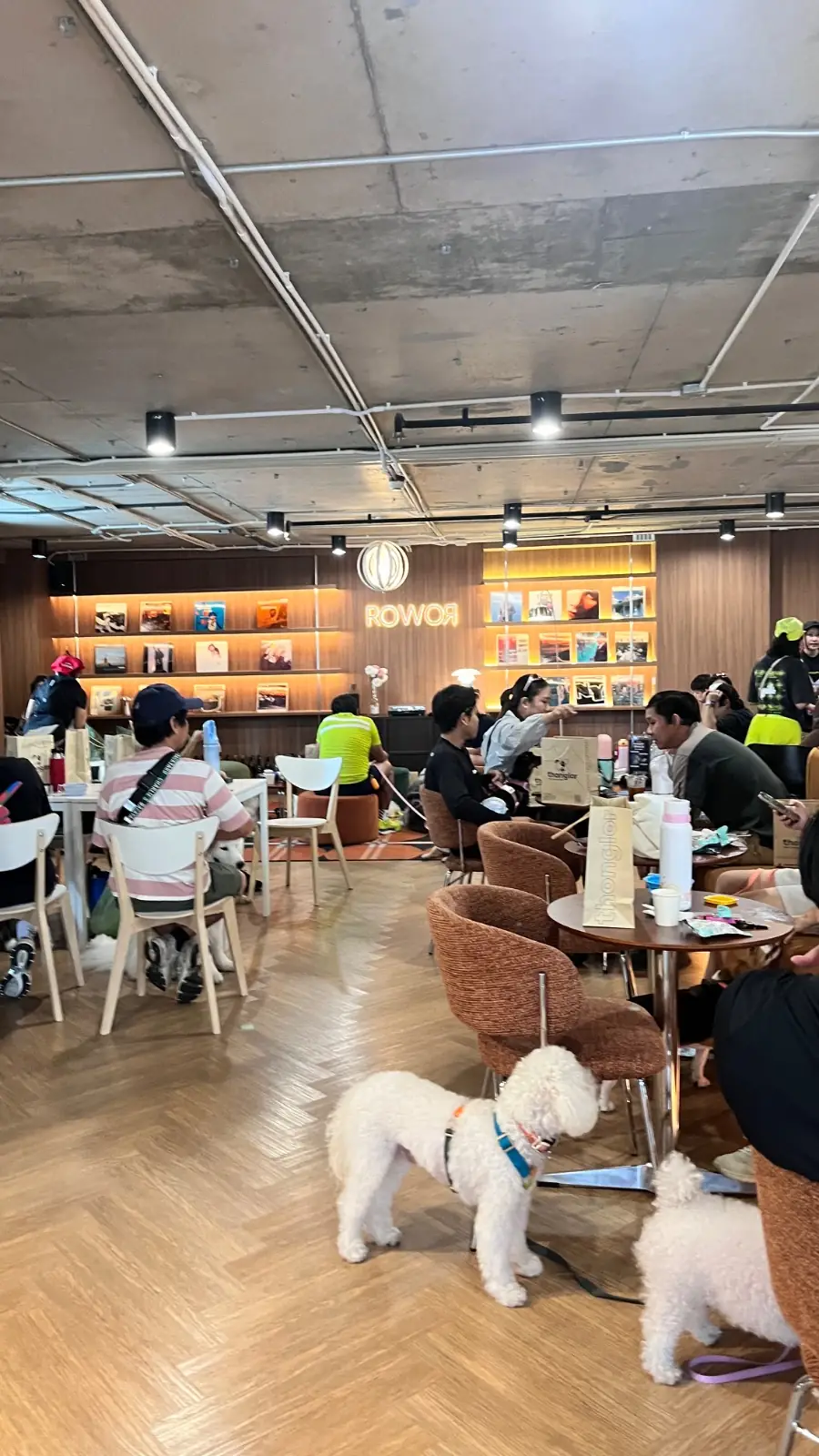 ROWOR Cafe & Wine Bar - Sathorn overall image 3