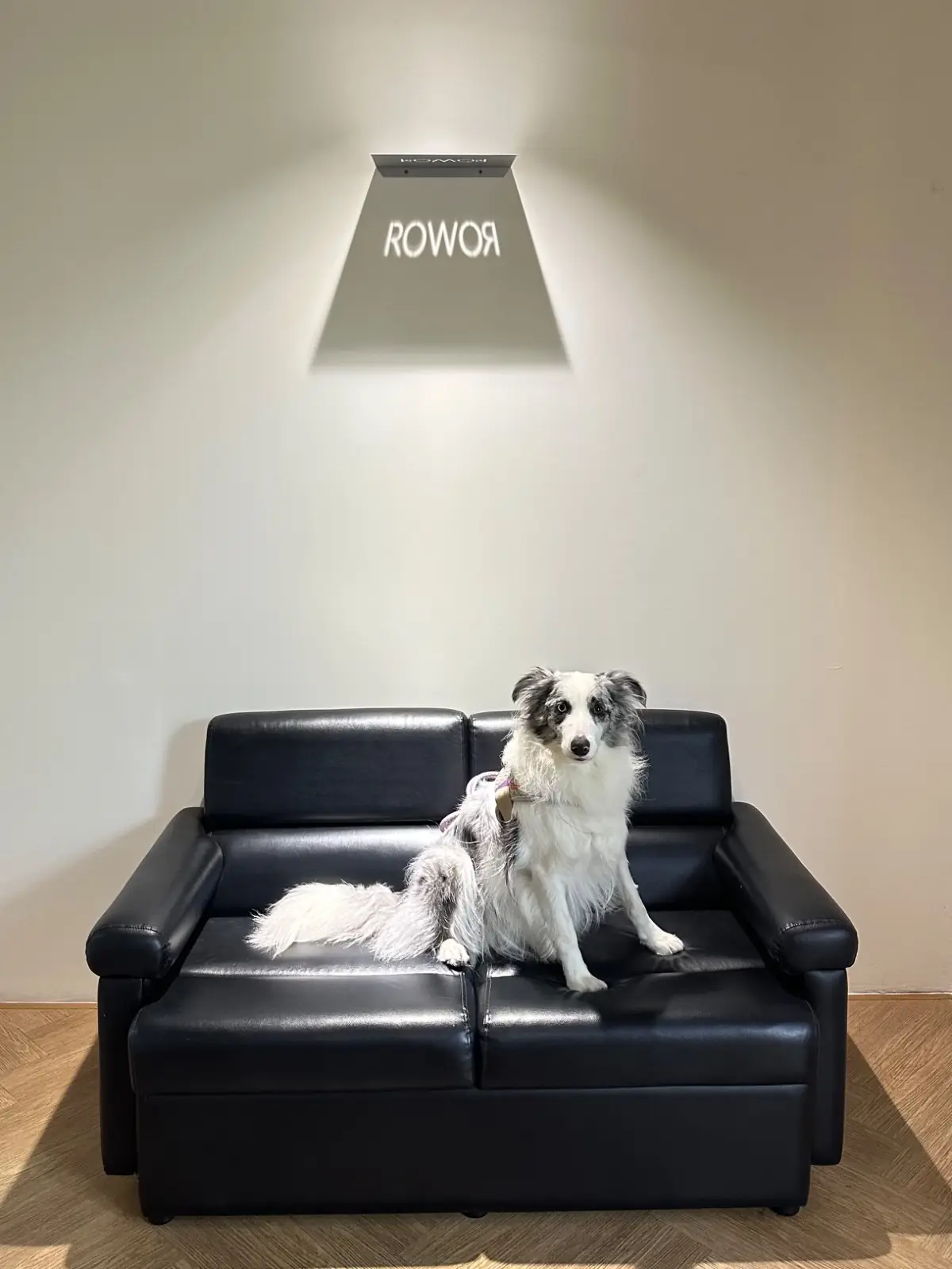RO-WOR Cafe & Wine Bar - Sathorn pets image 8