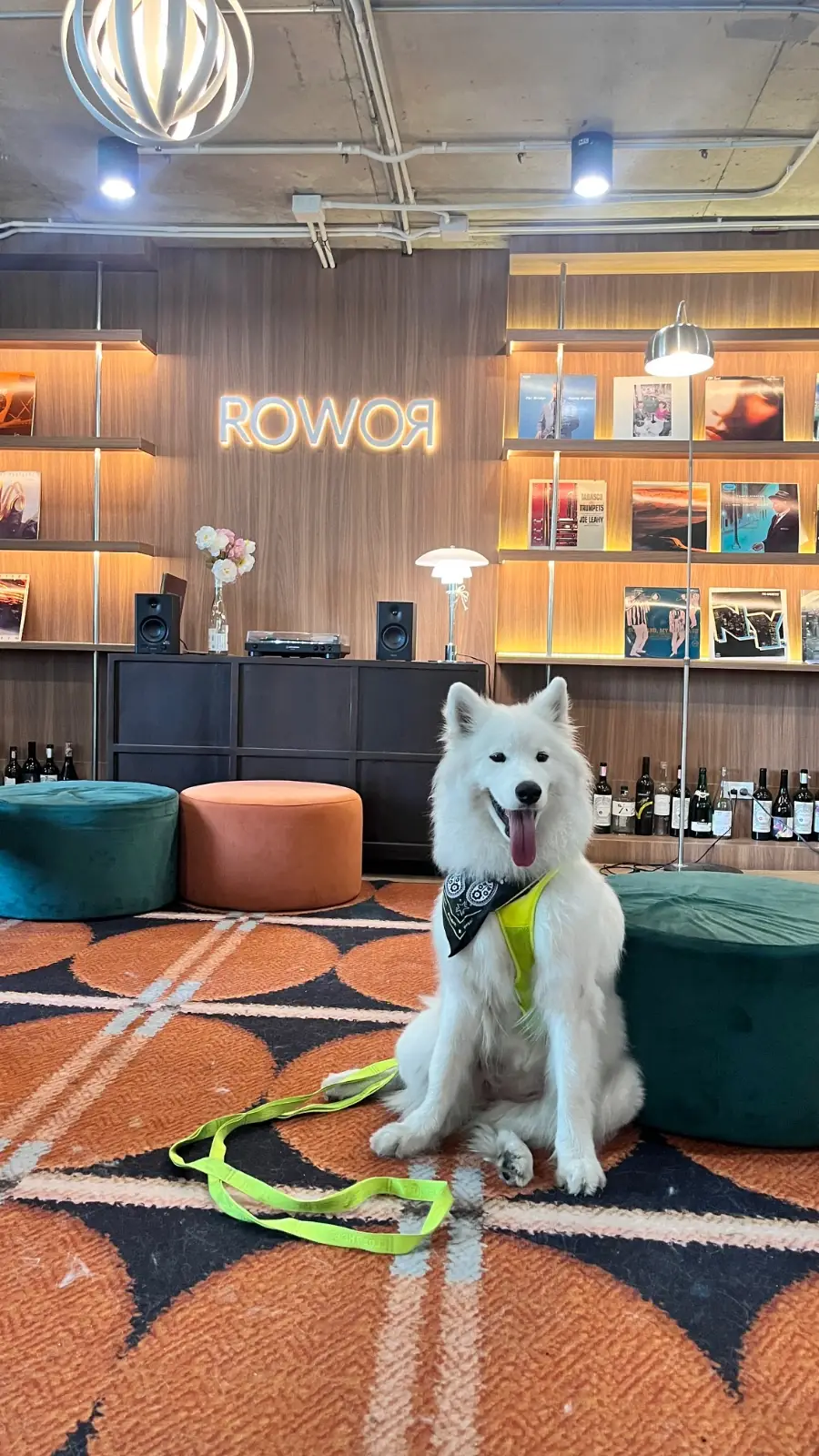 ROWOR Cafe & Wine Bar - Sathorn pets image 4