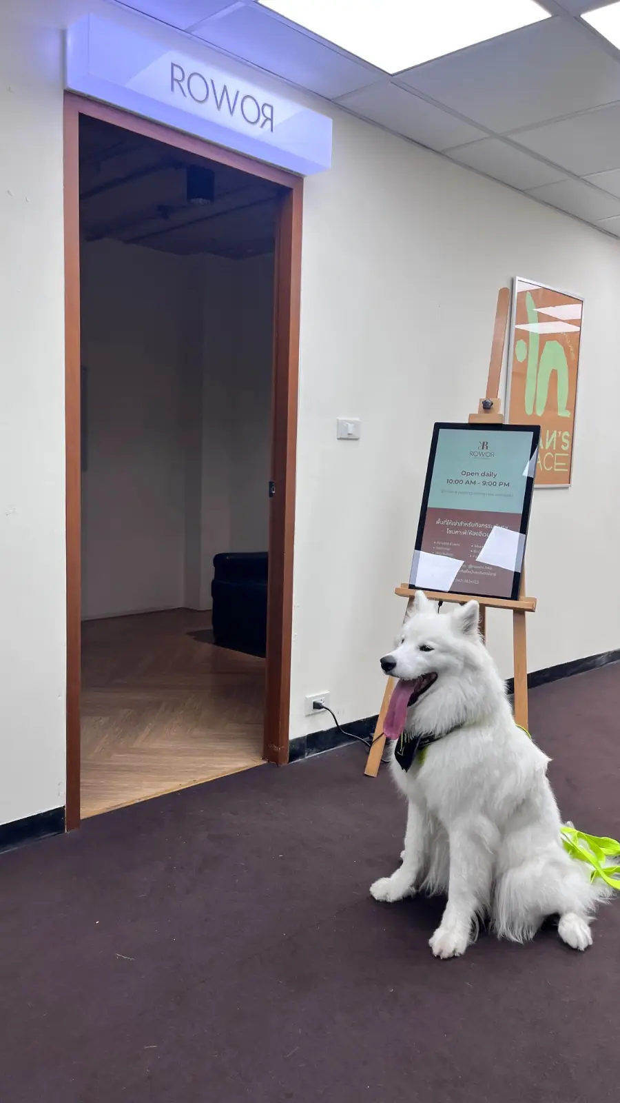 ROWOR Cafe & Wine Bar - Sathorn pets image 6