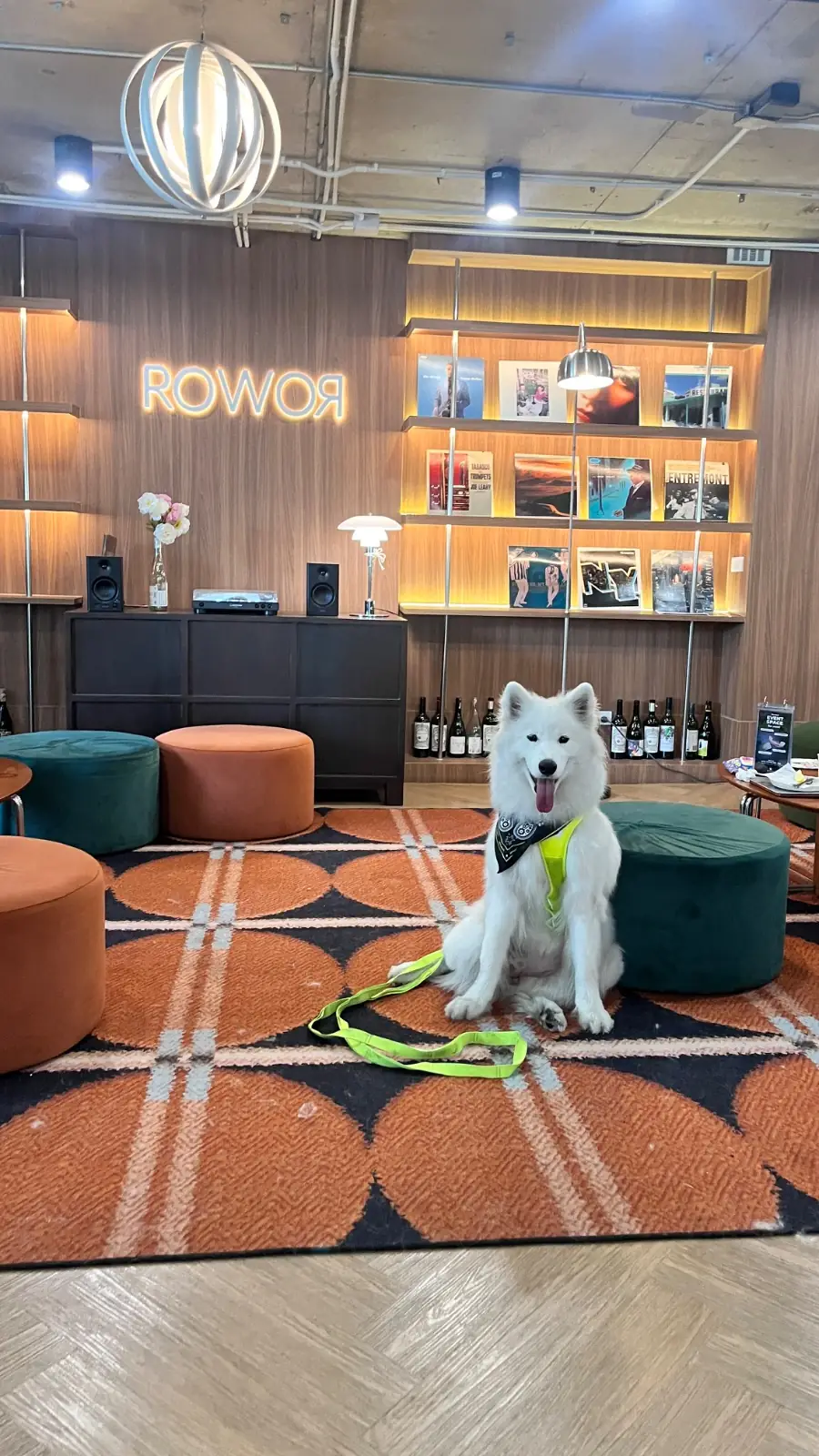 RO-WOR Cafe & Wine Bar - Sathorn pets image 7